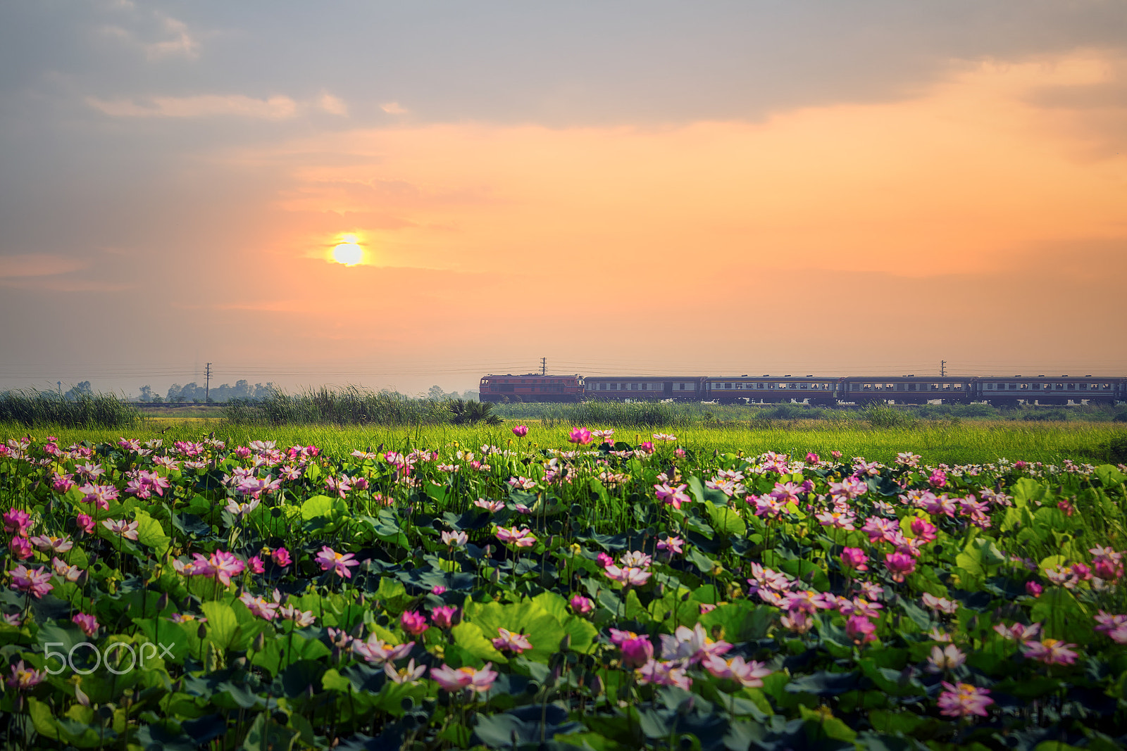 Canon EOS 6D sample photo. Train is running on the rails at sunset photography