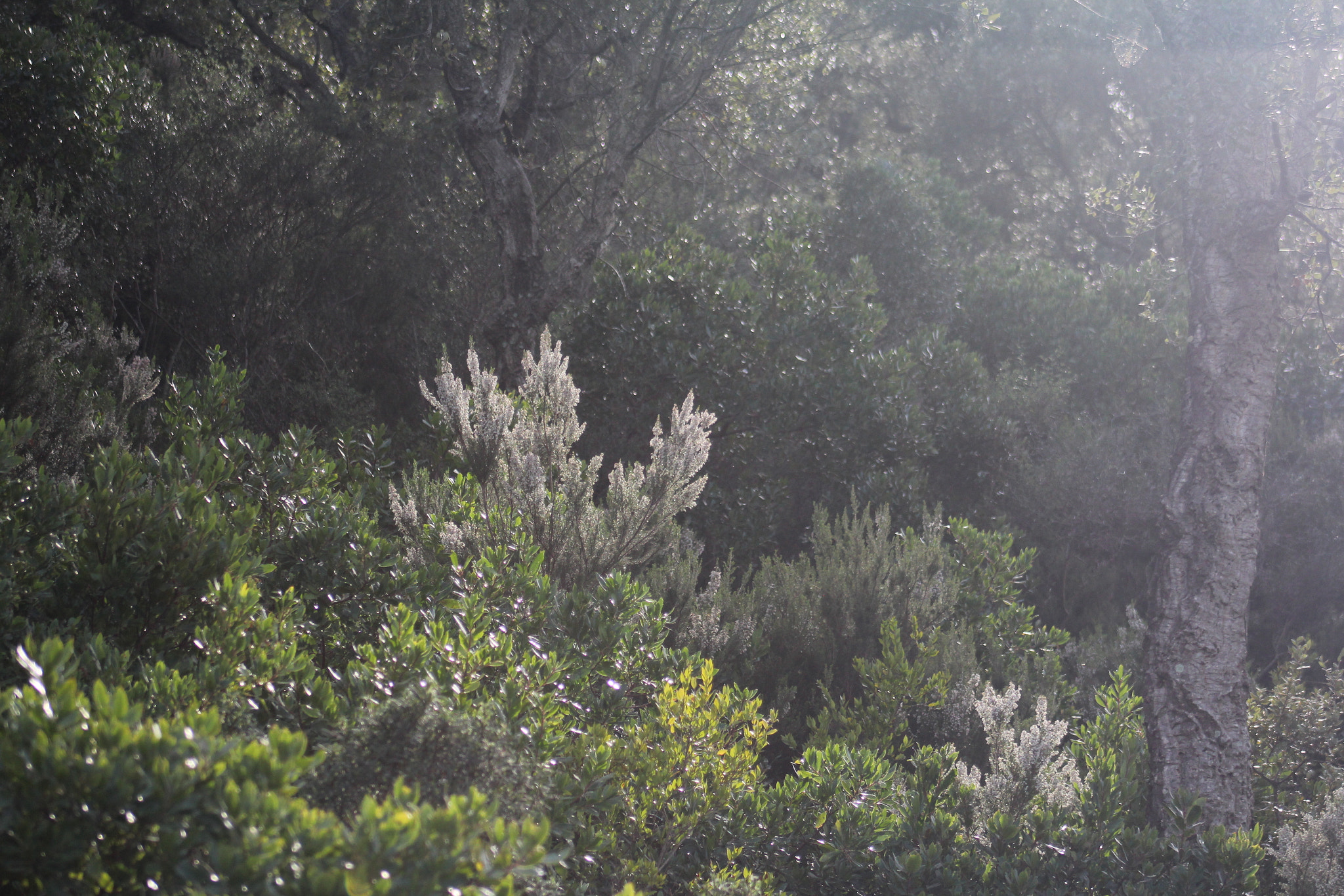 Canon EF 75-300mm f/4-5.6 USM sample photo. Img photography