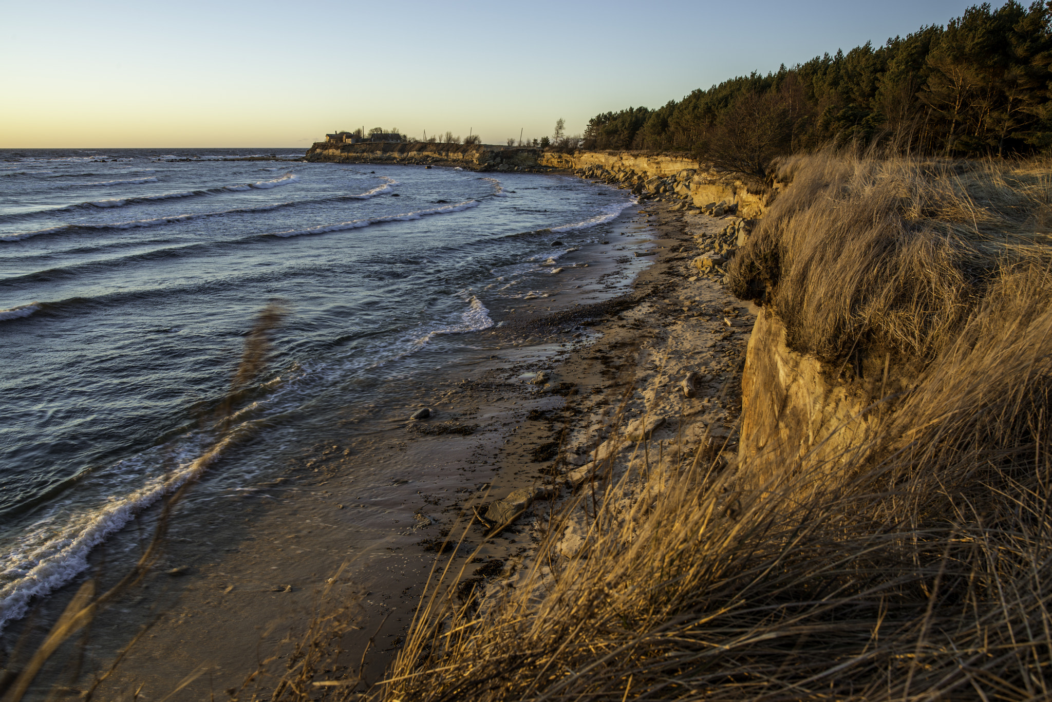 Nikon D800 + Nikon AF-S Nikkor 200-400mm F4G ED-IF VR sample photo. Suurupi coast photography