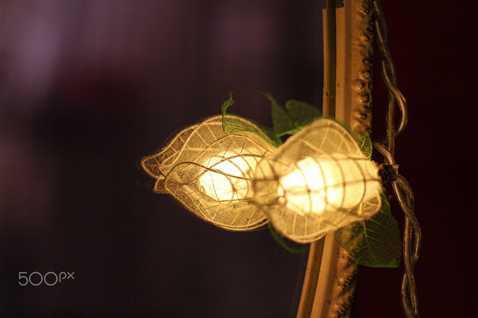 Canon EOS 700D (EOS Rebel T5i / EOS Kiss X7i) + Canon EF 50mm F1.4 USM sample photo. Silkworm reutilizable egg photography