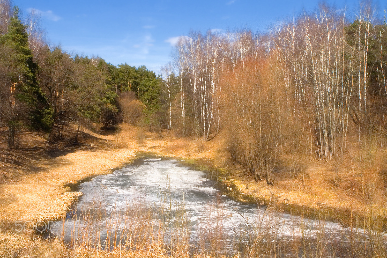 Canon EF 24-70mm F2.8L USM sample photo. Spring forest landscape of central russia. photography