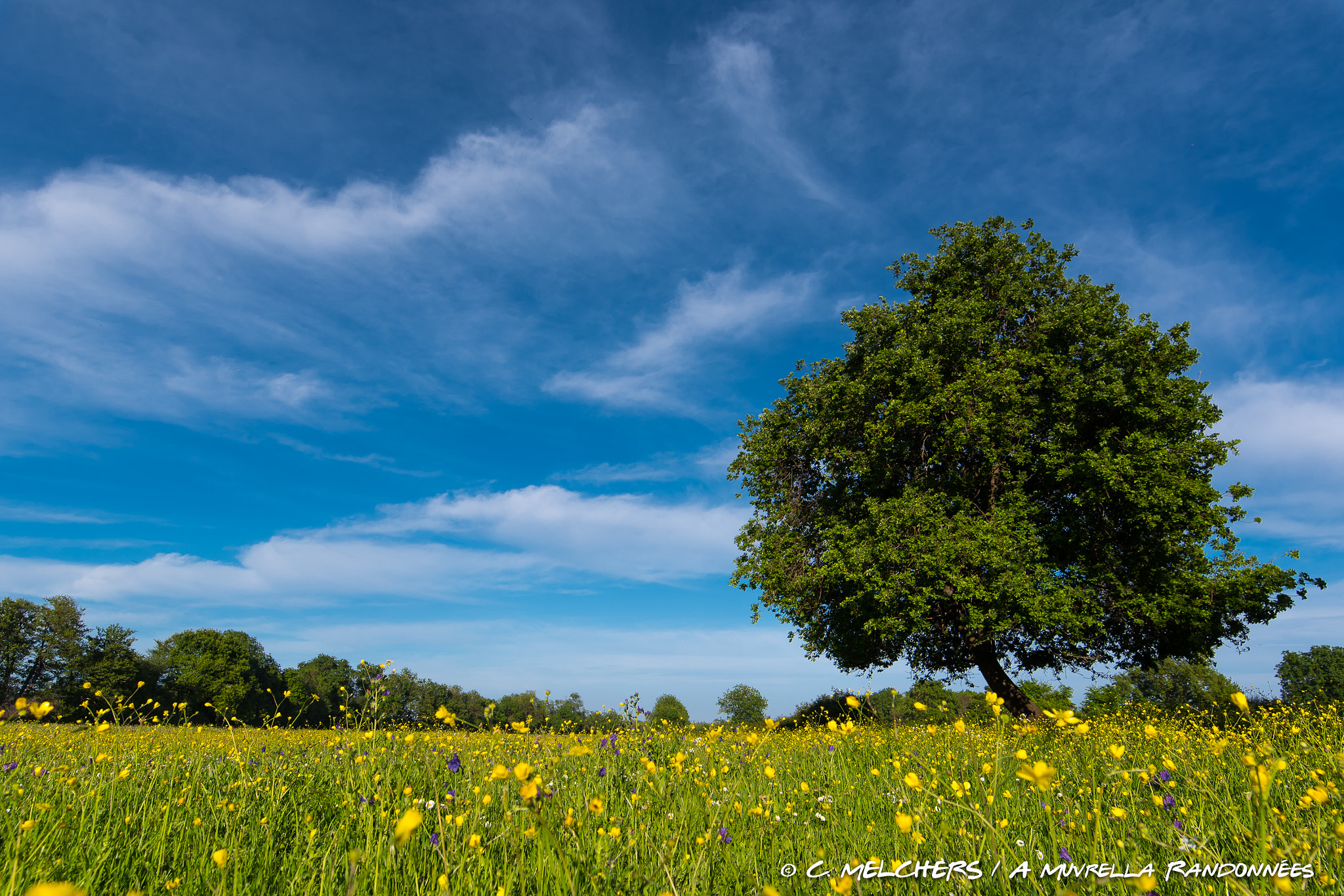 Nikon D750 + Tamron SP 15-30mm F2.8 Di VC USD sample photo