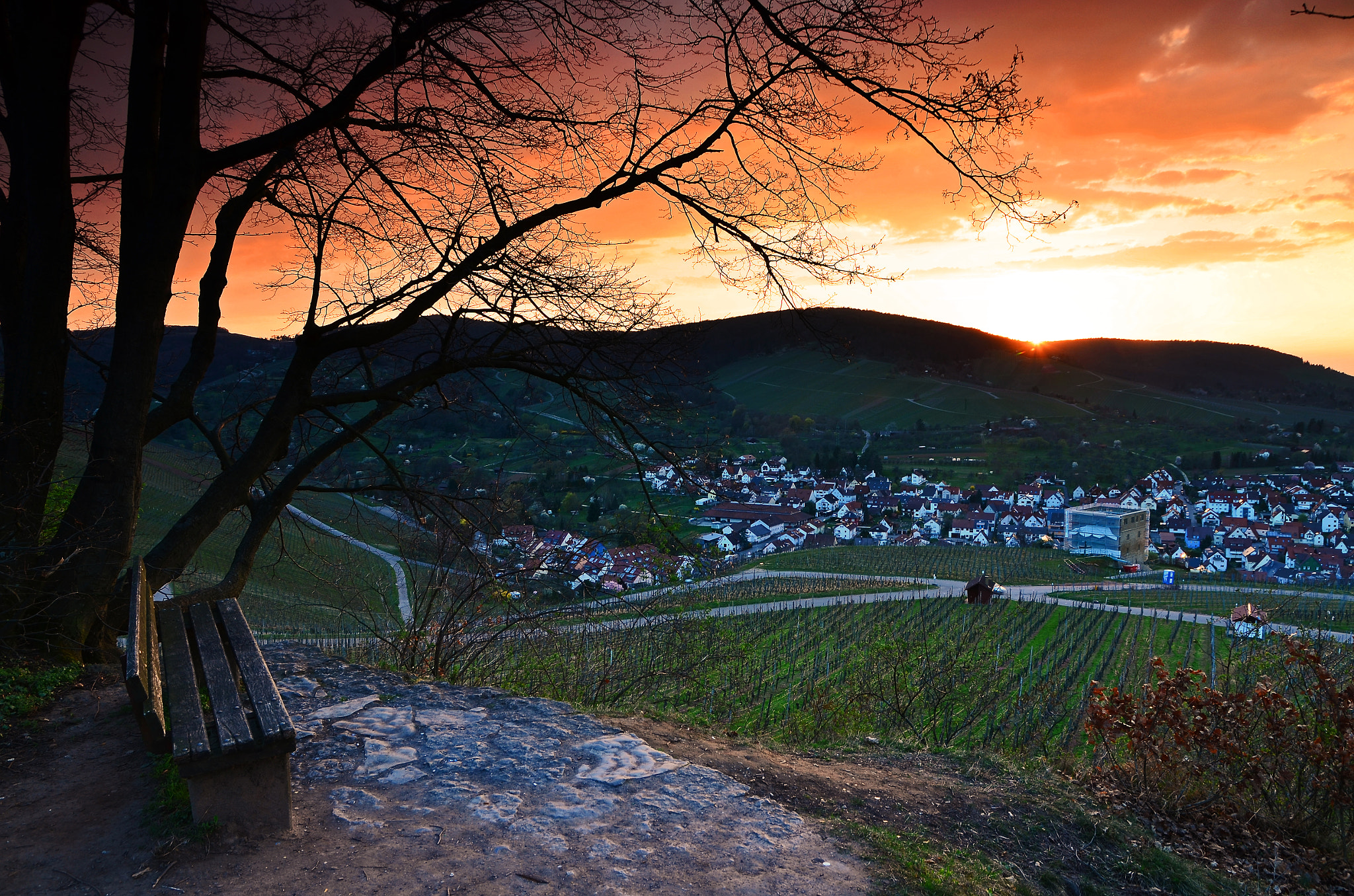 Sigma 17-70mm F2.8-4 DC Macro OS HSM | C sample photo. Sunset spotting photography