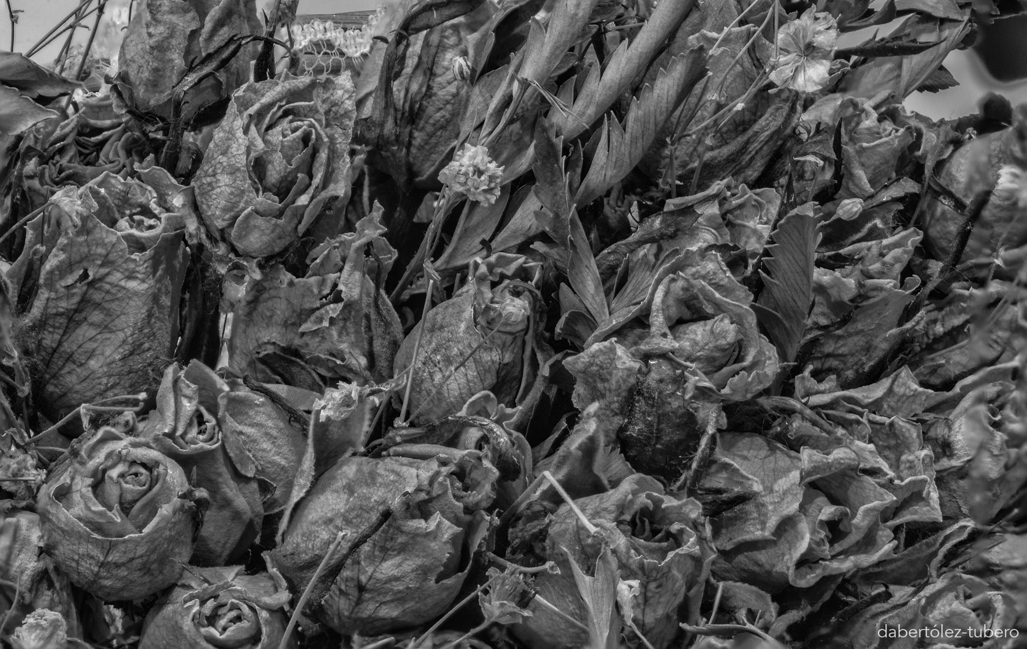 Nikon D90 sample photo. Ramo de bodas photography