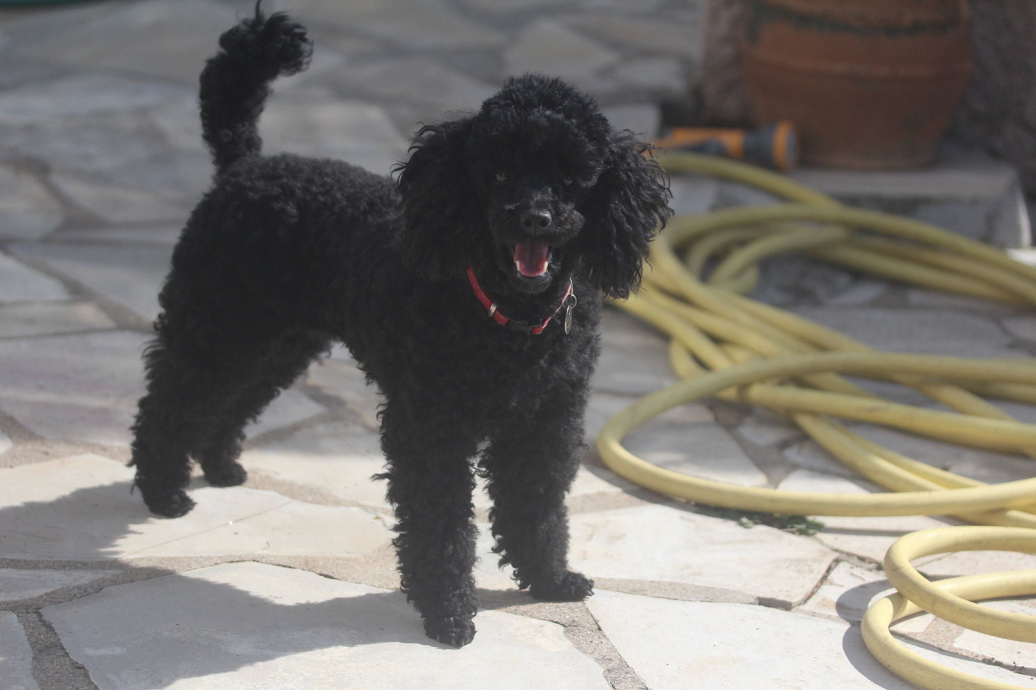 Canon EF-S 60mm F2.8 Macro USM sample photo. Img photography