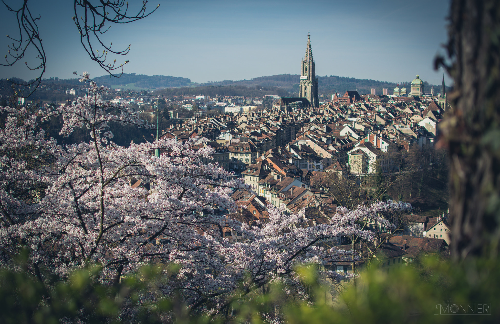 Nikon D500 + Nikon AF-S DX Nikkor 35mm F1.8G sample photo. Springtime in berne photography