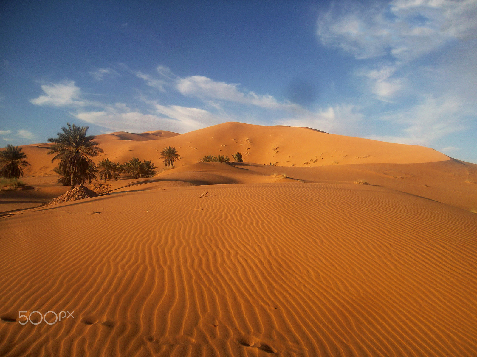 Samsung ST65 sample photo. Taghit , algeria photography