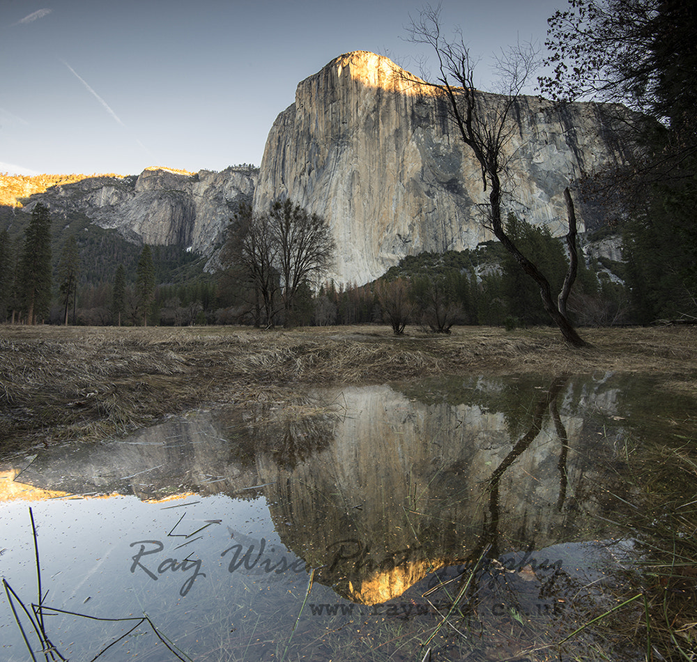 Nikon D800 + Nikon AF-S Nikkor 16-35mm F4G ED VR sample photo. El capitan - dawn colours photography