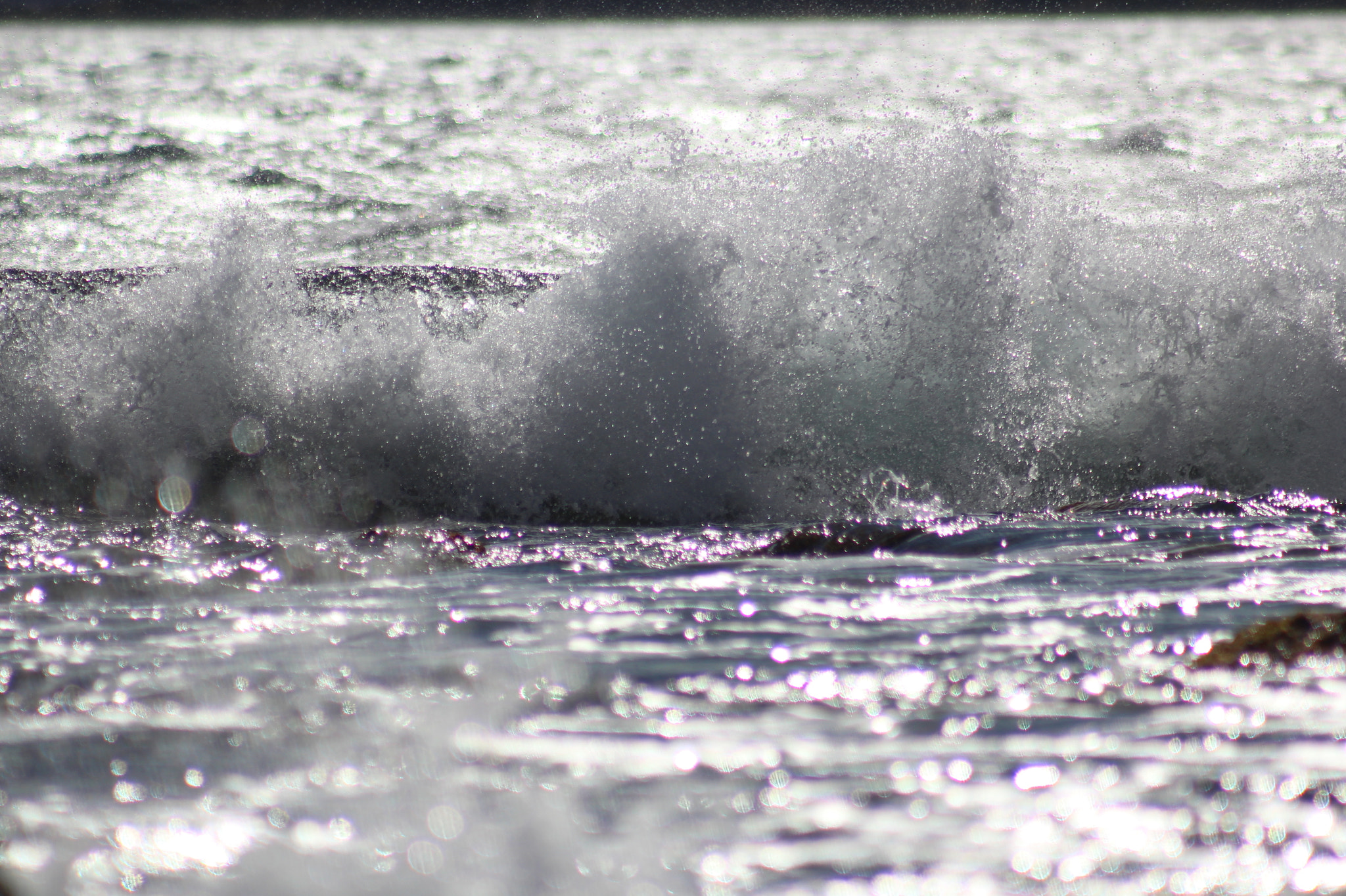 Canon EF 75-300mm f/4-5.6 USM sample photo. Img photography