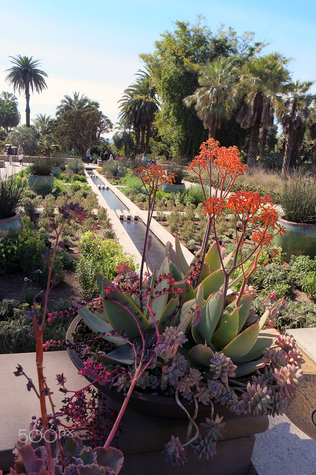 Samsung NX500 + Samsung NX 16-50mm F3.5-5.6 Power Zoom ED OIS sample photo. Huntington library and gardens entrance path 2017 photography