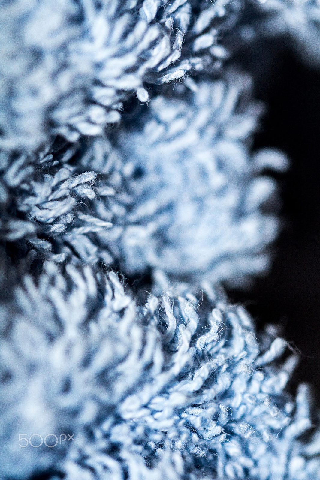 Canon EF 100mm F2.8L Macro IS USM sample photo. Fading photography