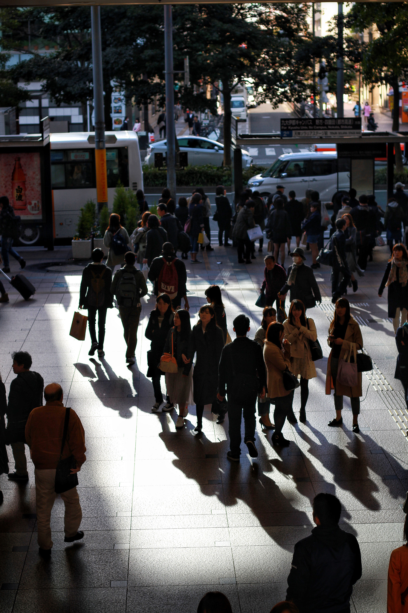 Canon EOS 7D + Canon EF 50mm F1.8 STM sample photo. A game of shadows. photography