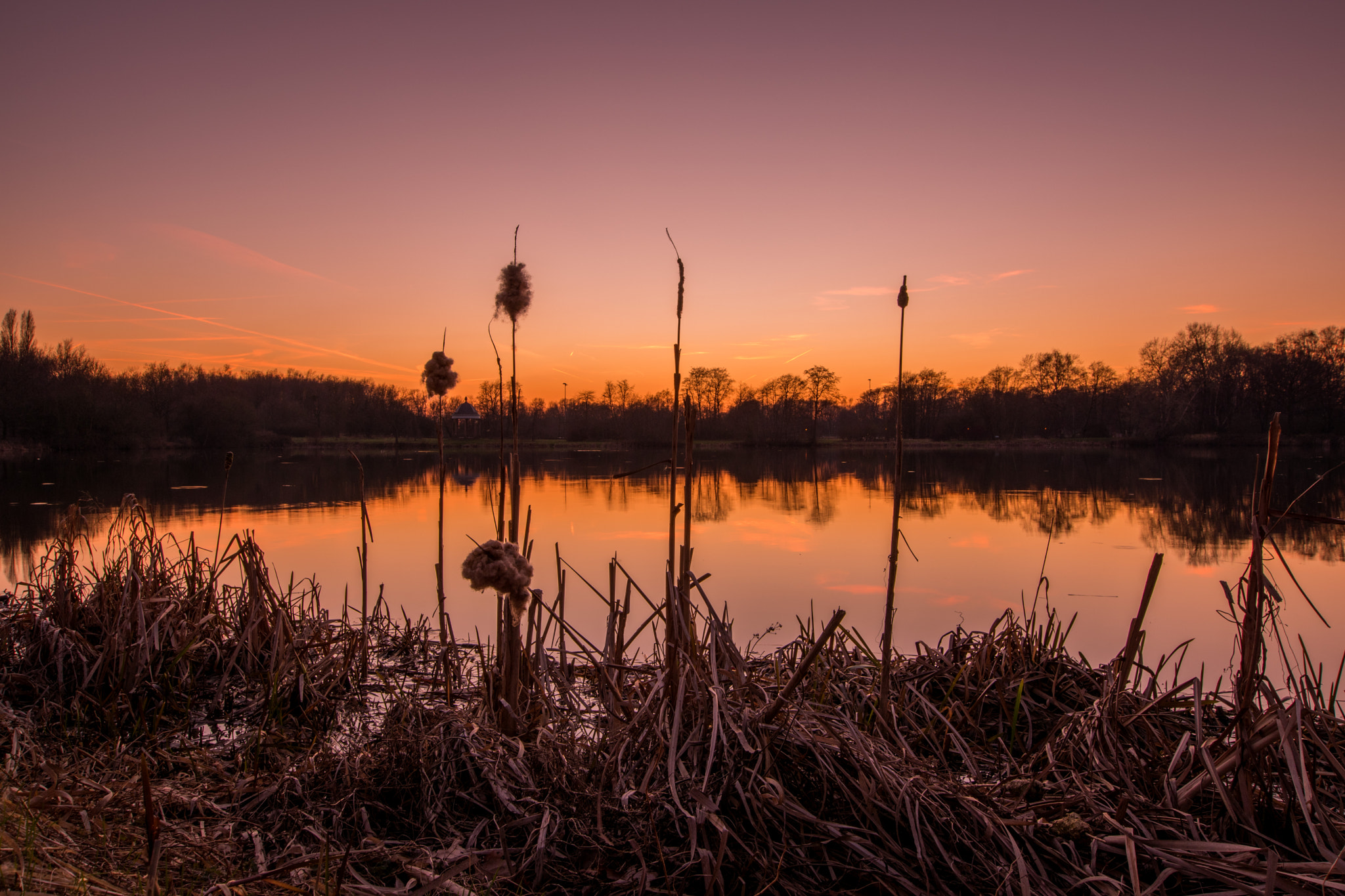 Nikon D5500 sample photo. Spring evening photography