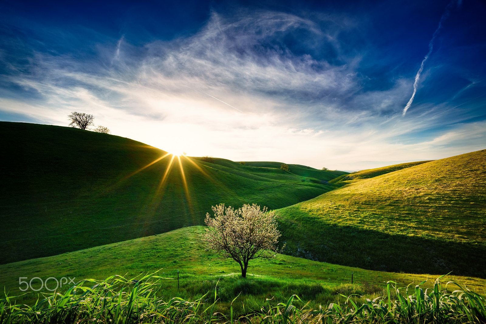 Sony a7R II + Voigtlander SUPER WIDE-HELIAR 15mm F4.5 III sample photo. The star variation photography