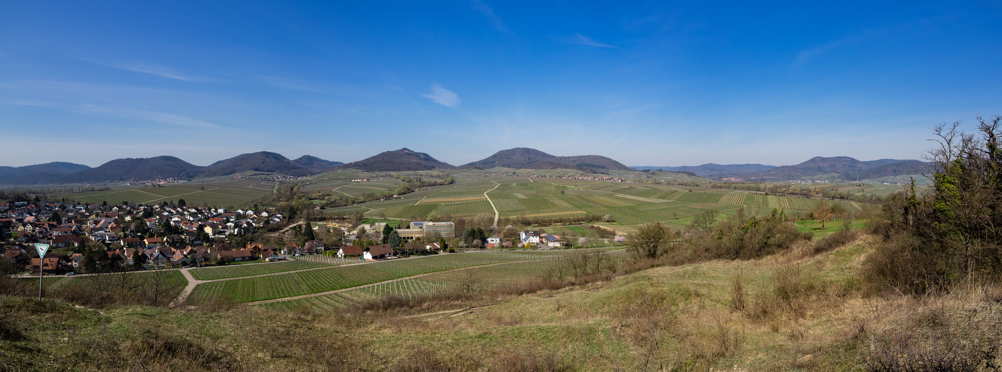 OLYMPUS M.12mm F2.0 sample photo. Kleine kalmit pano 2 photography