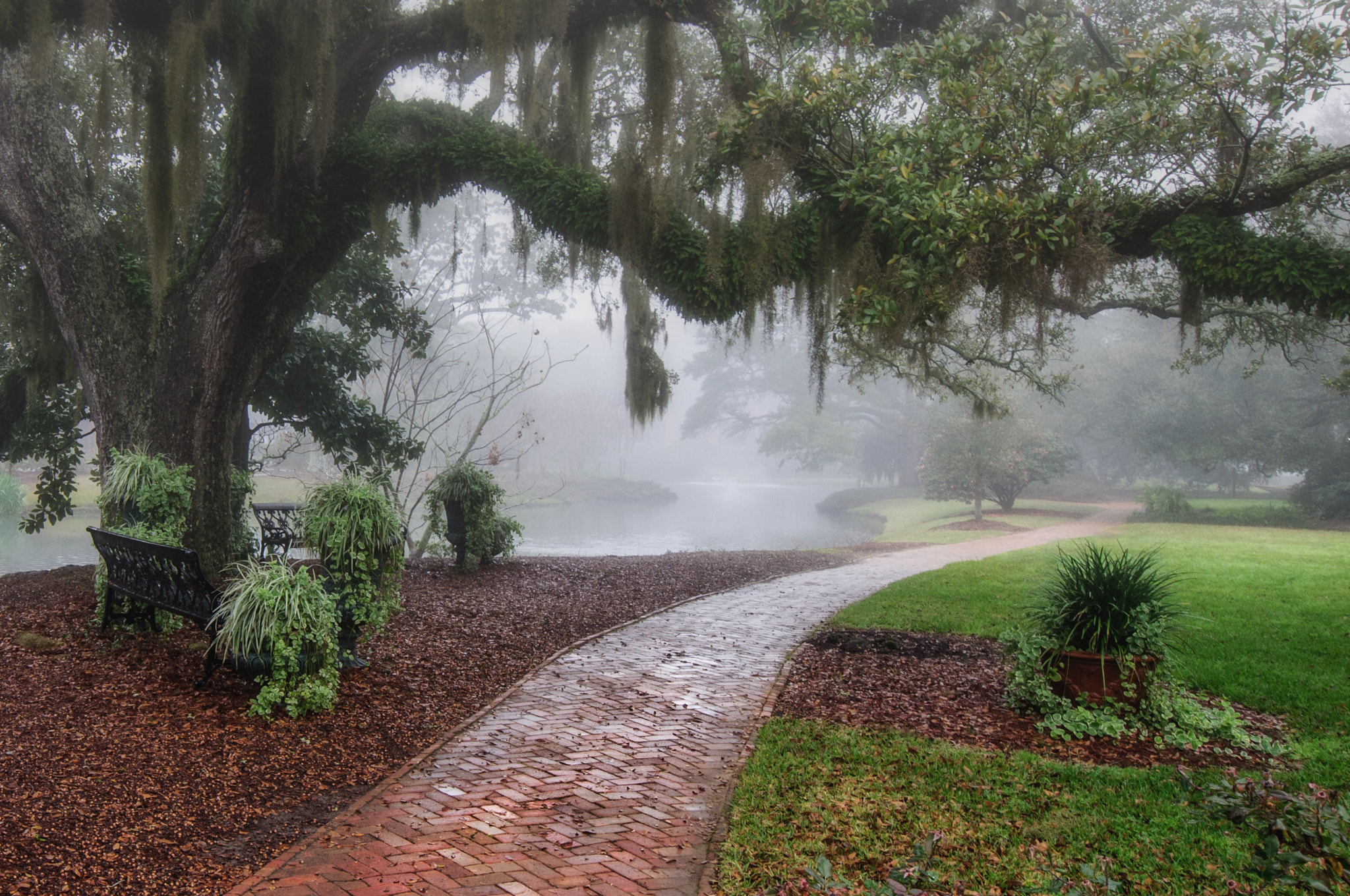 Nikon D90 sample photo. Coastal alabama fog photography