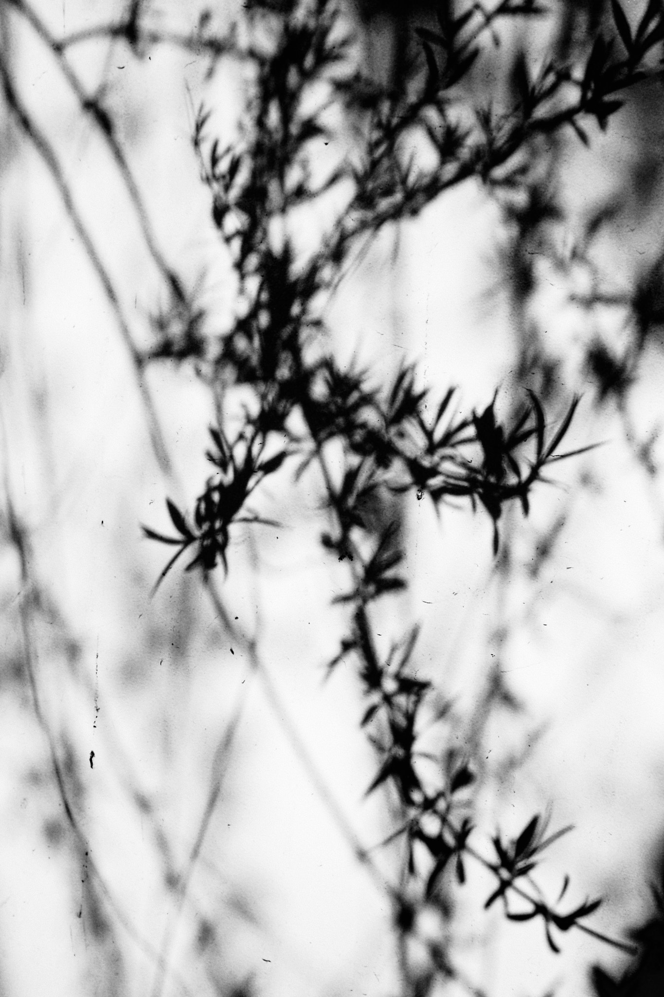 Kodak EasyShare M1033 sample photo