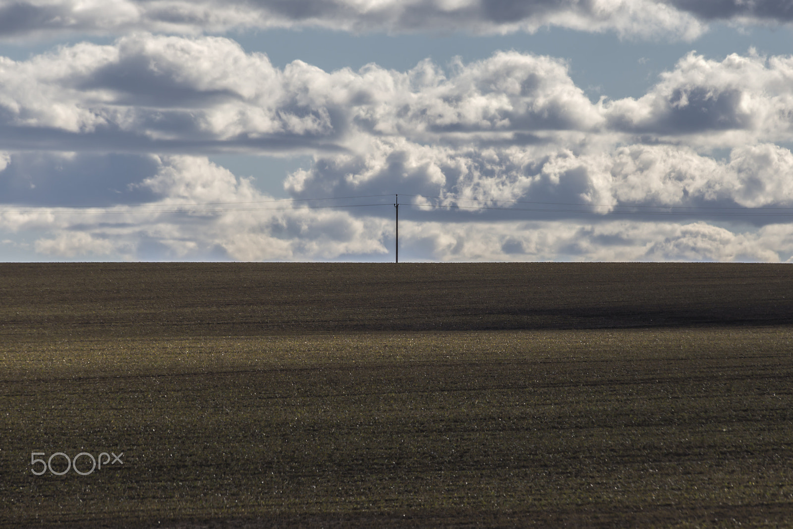 Canon EF 70-300mm F4-5.6 IS USM sample photo. Something is not right photography