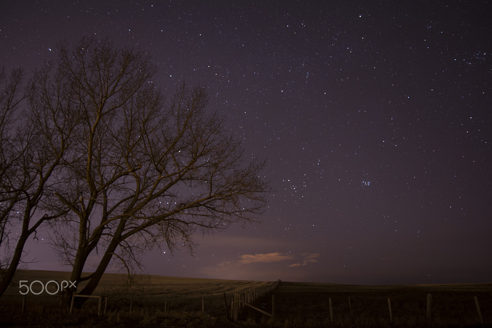Nikon D7100 sample photo. Nighttime field photography