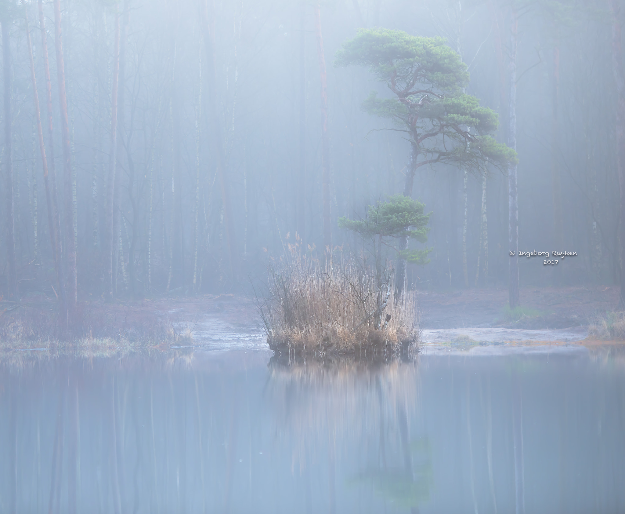 Nikon AF-S Nikkor 70-200mm F2.8G ED VR II sample photo. Fata morgana ii photography