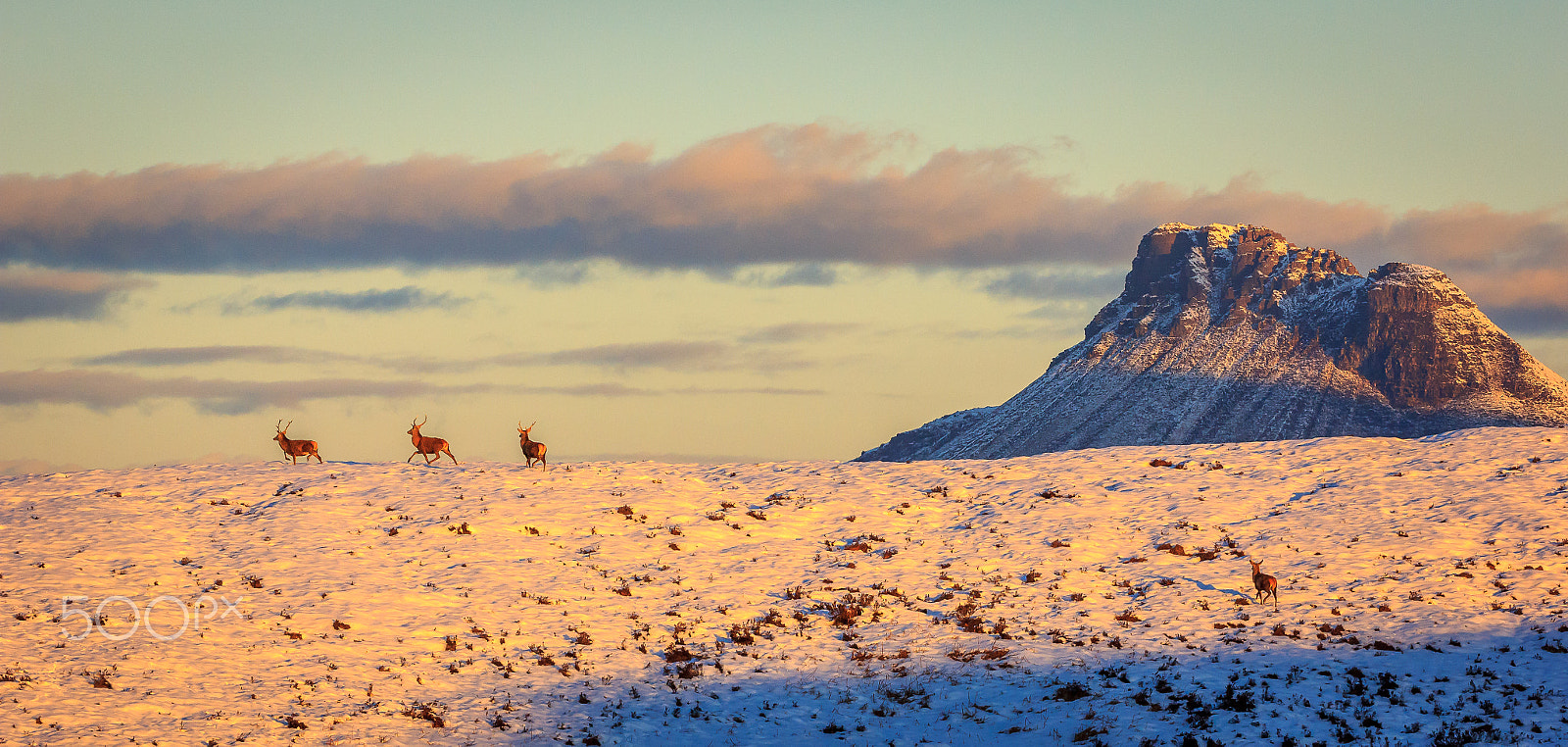 Canon EOS 60D + Canon EF 70-200mm F4L USM sample photo. Stac pollaidh sunrise photography