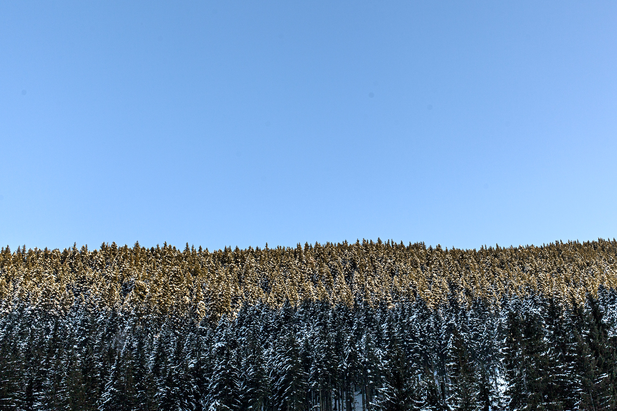 Canon EF 35mm F2 IS USM sample photo. Razlog photography