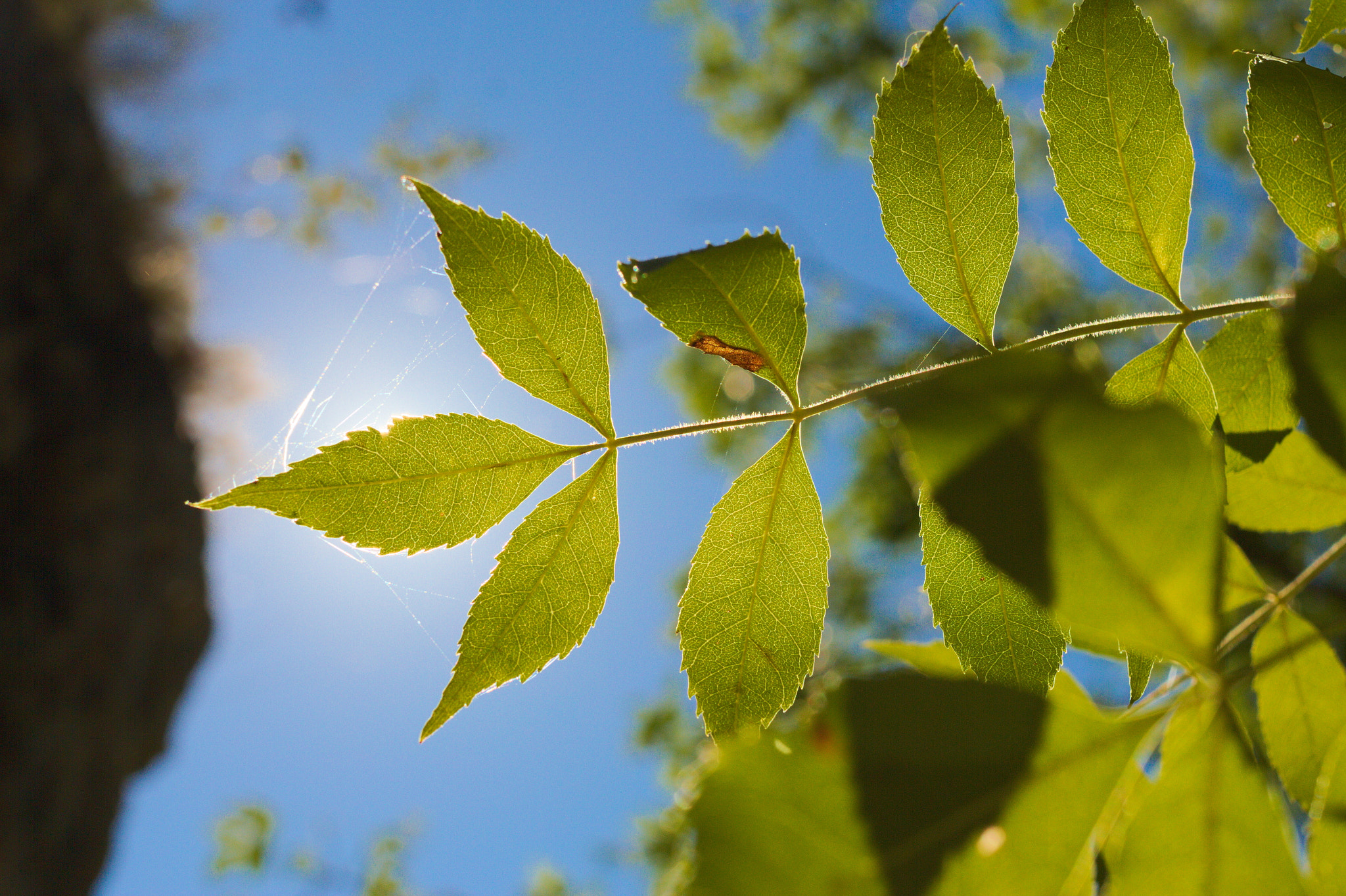 Canon EF 40mm F2.8 STM sample photo. Img photography