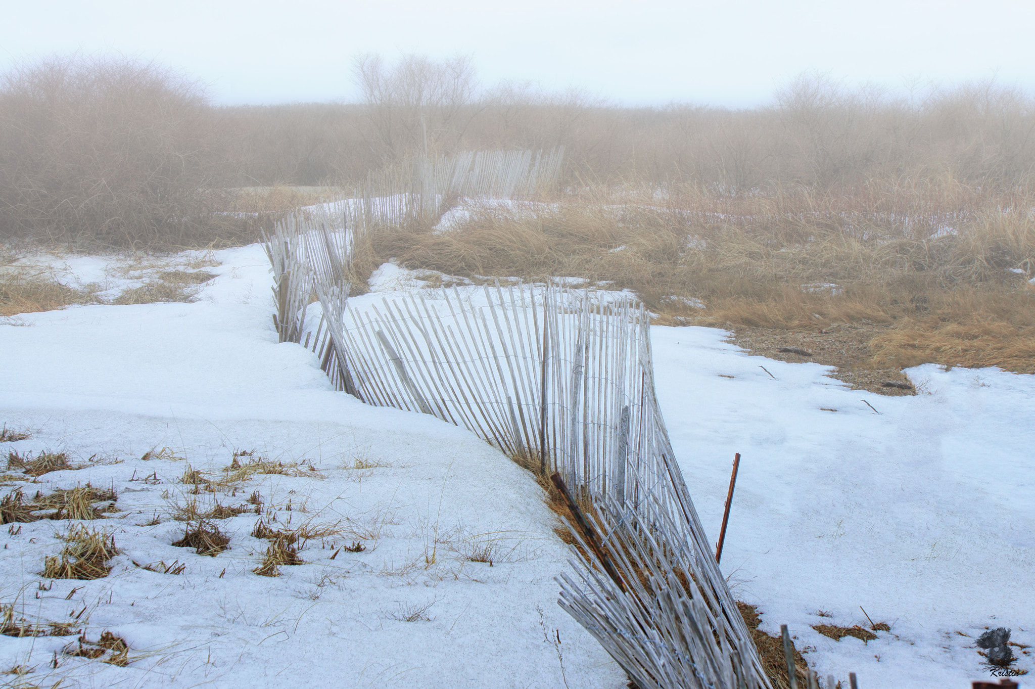 Sony Alpha NEX-3 sample photo. On the path photography