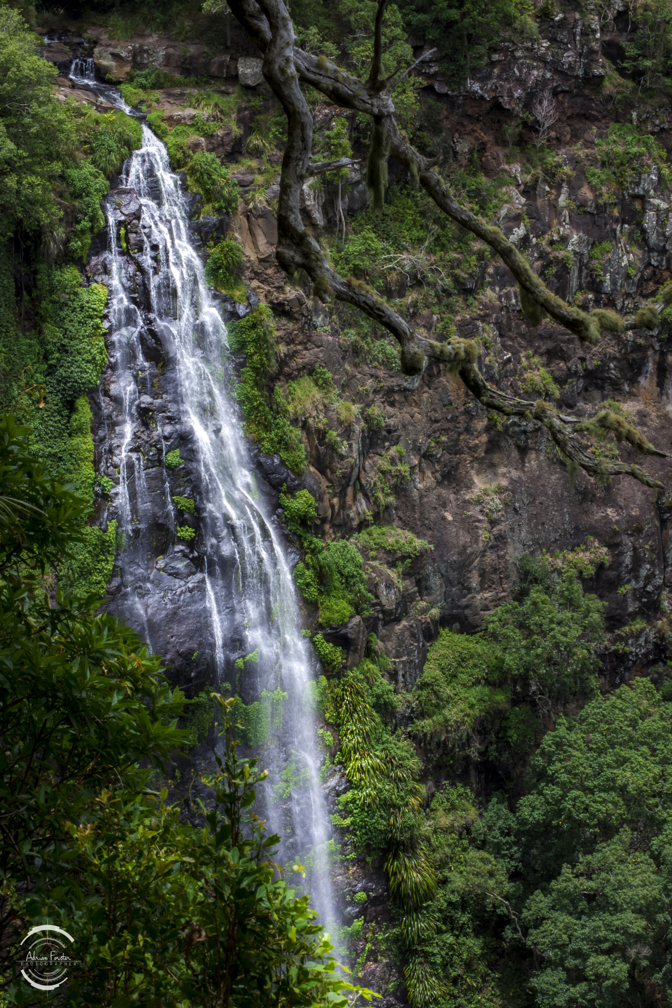Nikon D7200 sample photo. Morans falls photography
