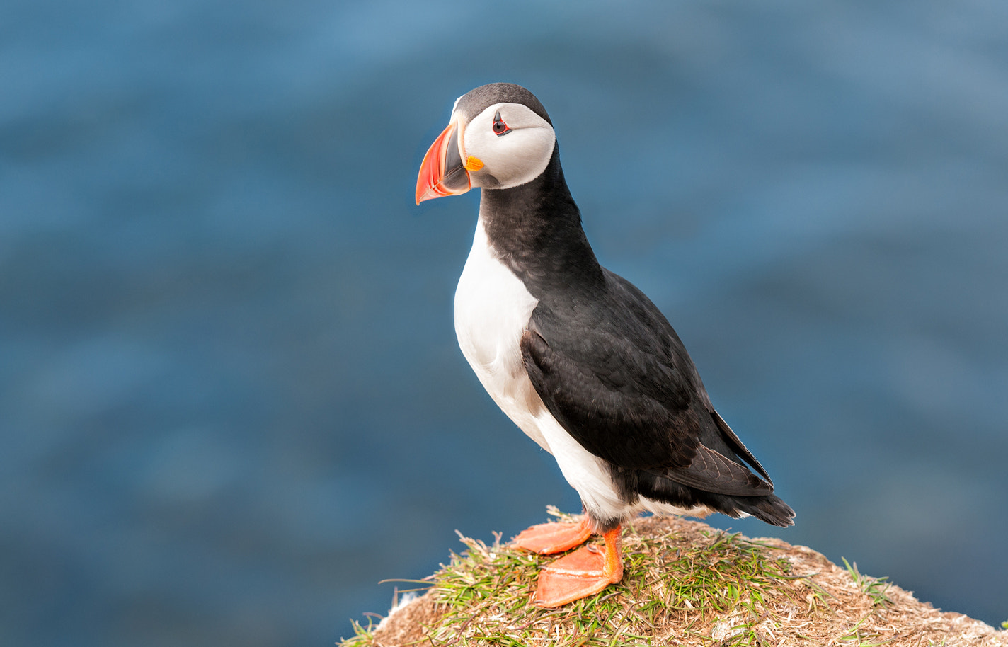Nikon AF-S Nikkor 70-200mm F2.8G ED VR II sample photo. Lundy photography