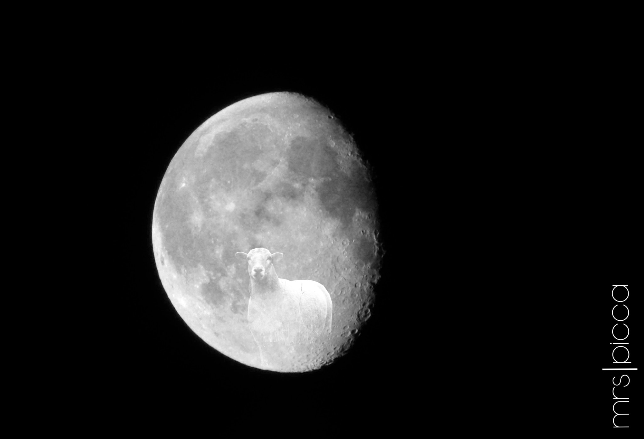 Ricoh PENTAX XG-1 sample photo. Not a man in the moon ii photography