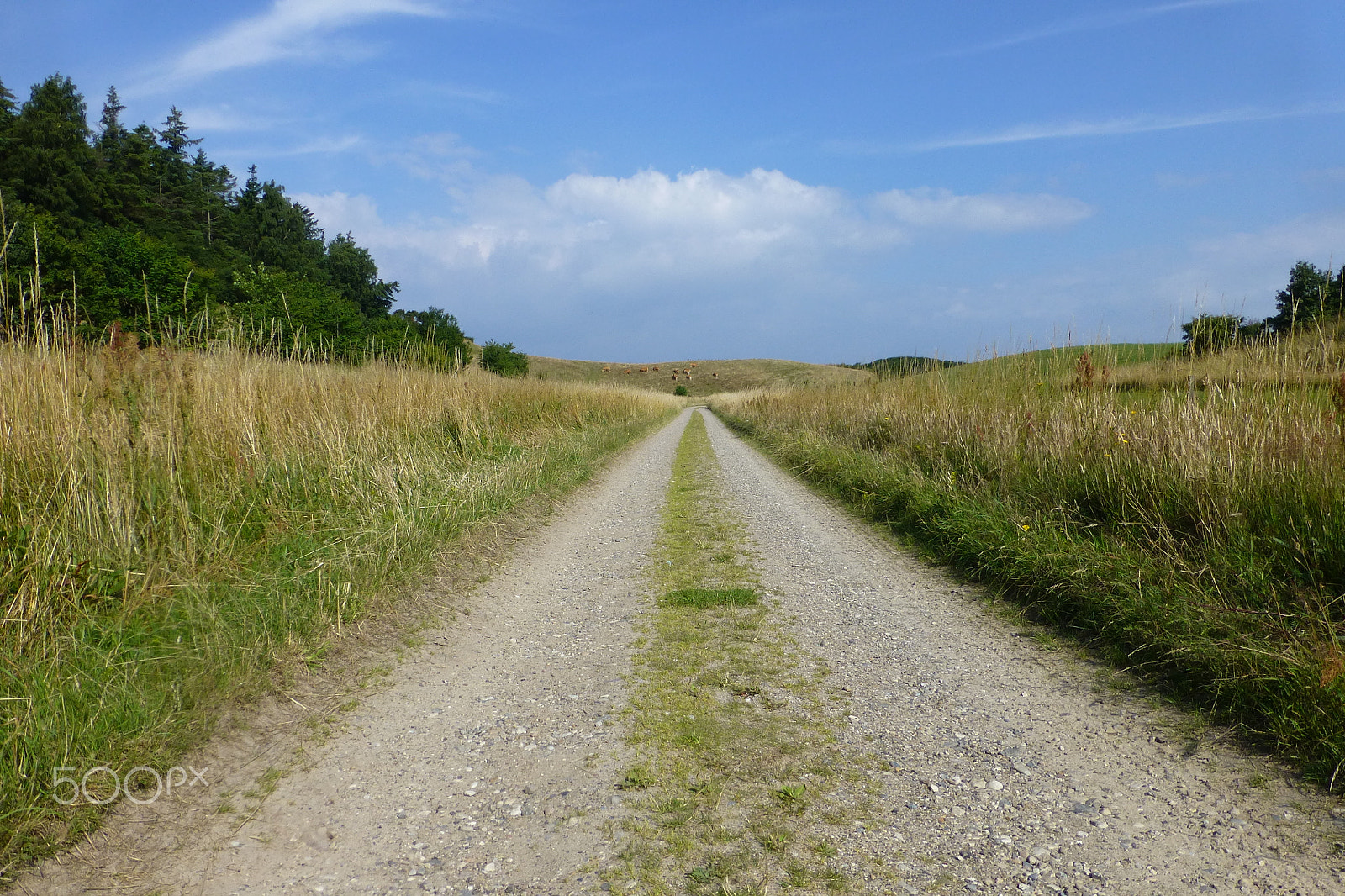 Panasonic Lumix DMC-ZS20 (Lumix DMC-TZ30) sample photo. The road leads to ..... photography