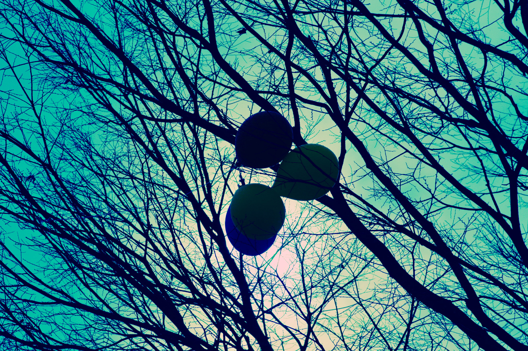 Pentax smc D-FA 100mm F2.8 Macro WR sample photo. Abandoned balloons photography