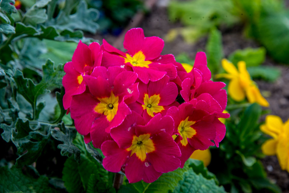 Nikon D600 sample photo