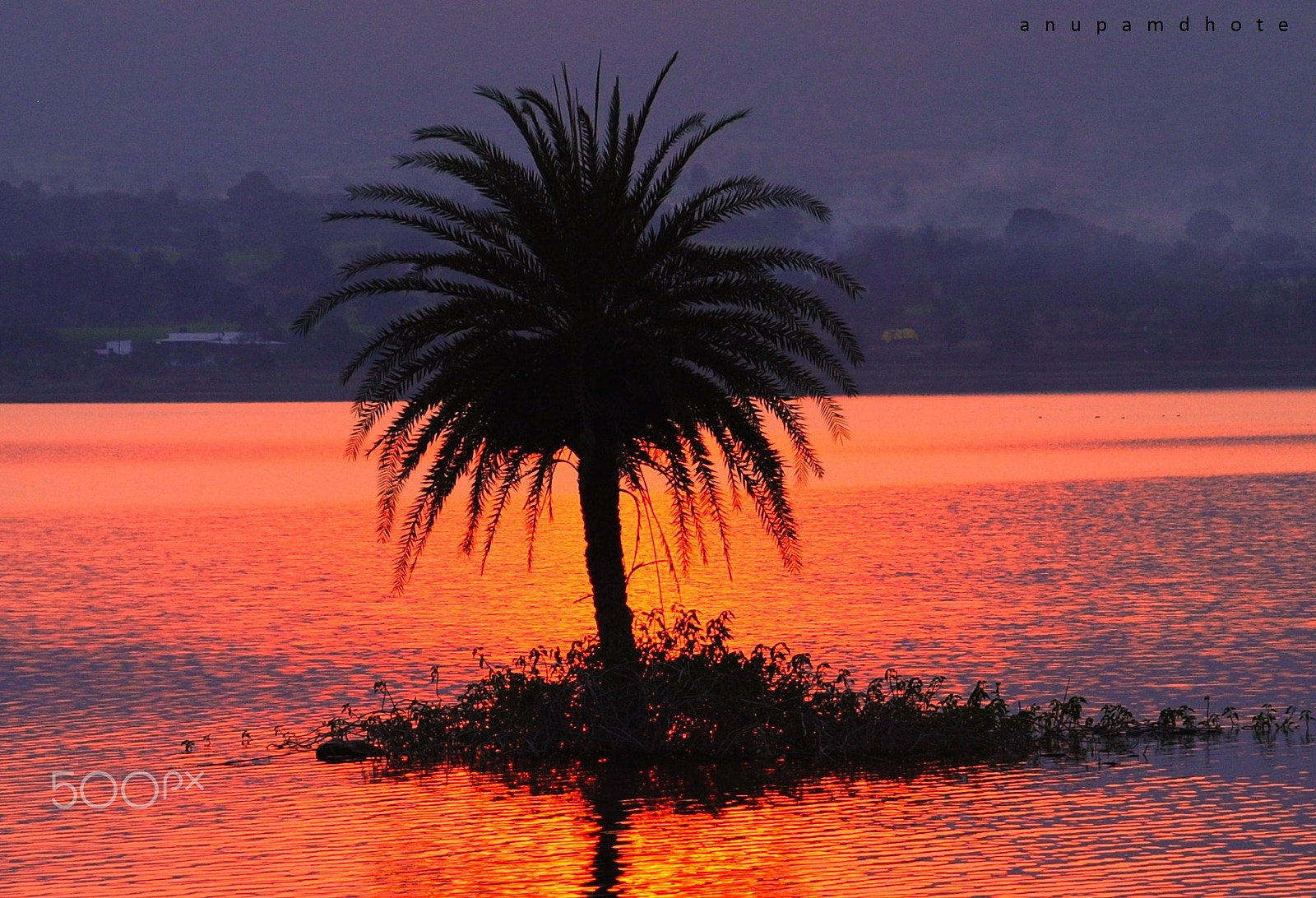 Nikon D3000 sample photo. A lonely tree photography
