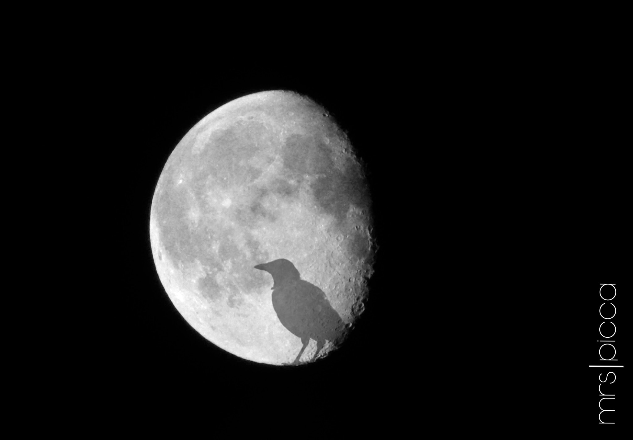 Ricoh PENTAX XG-1 sample photo. Not a man in the moon iv photography