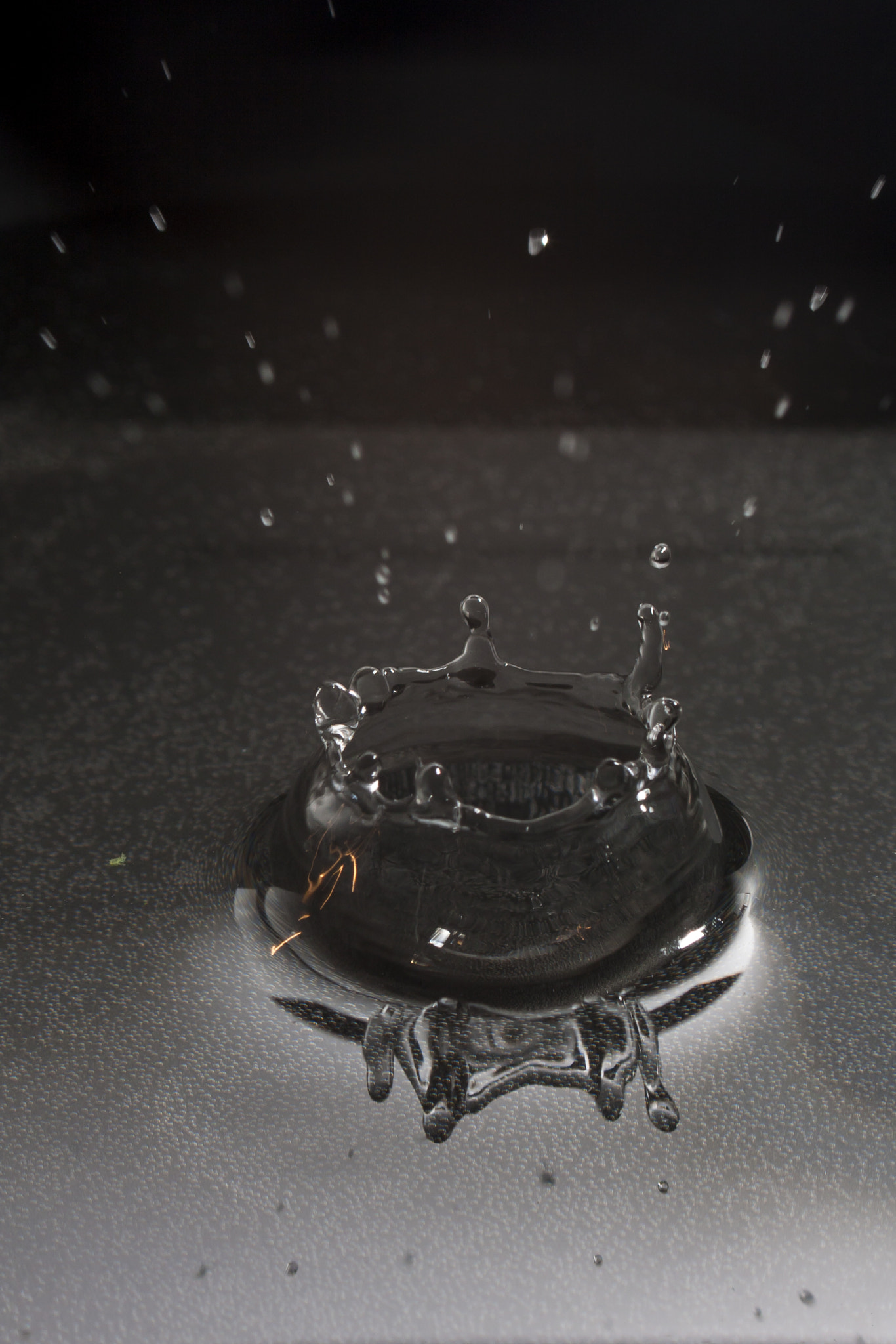 Canon EOS 40D + Canon EF 70-210mm f/4 sample photo. Pop! photography