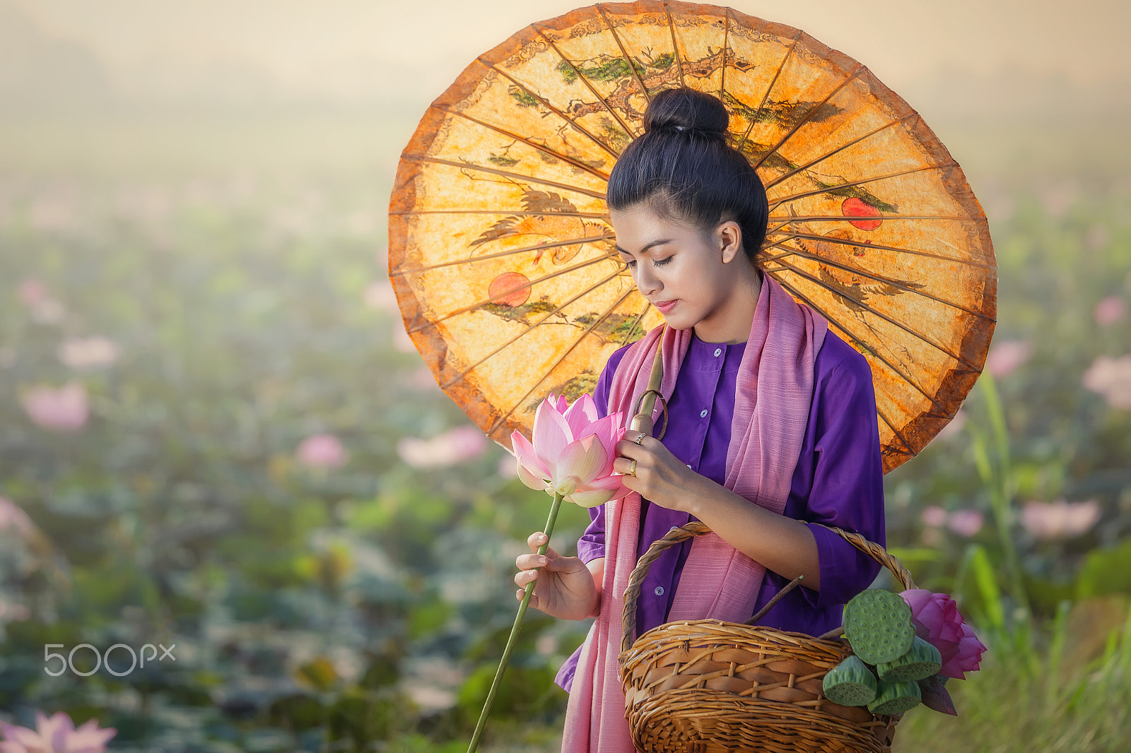 Canon EOS 6D sample photo. Girl thai farmer grow lotus in the season. photography