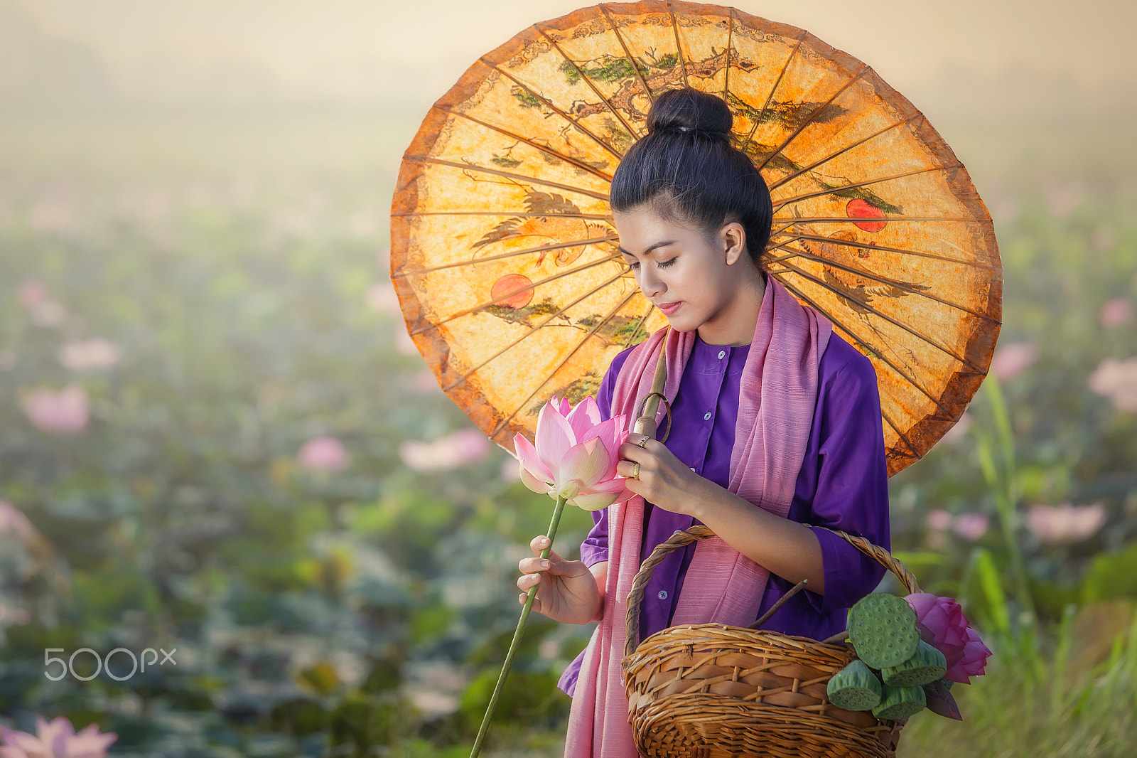 Canon EOS 6D + Canon EF 70-200mm F4L IS USM sample photo. Girl thai farmer grow lotus in the season. photography