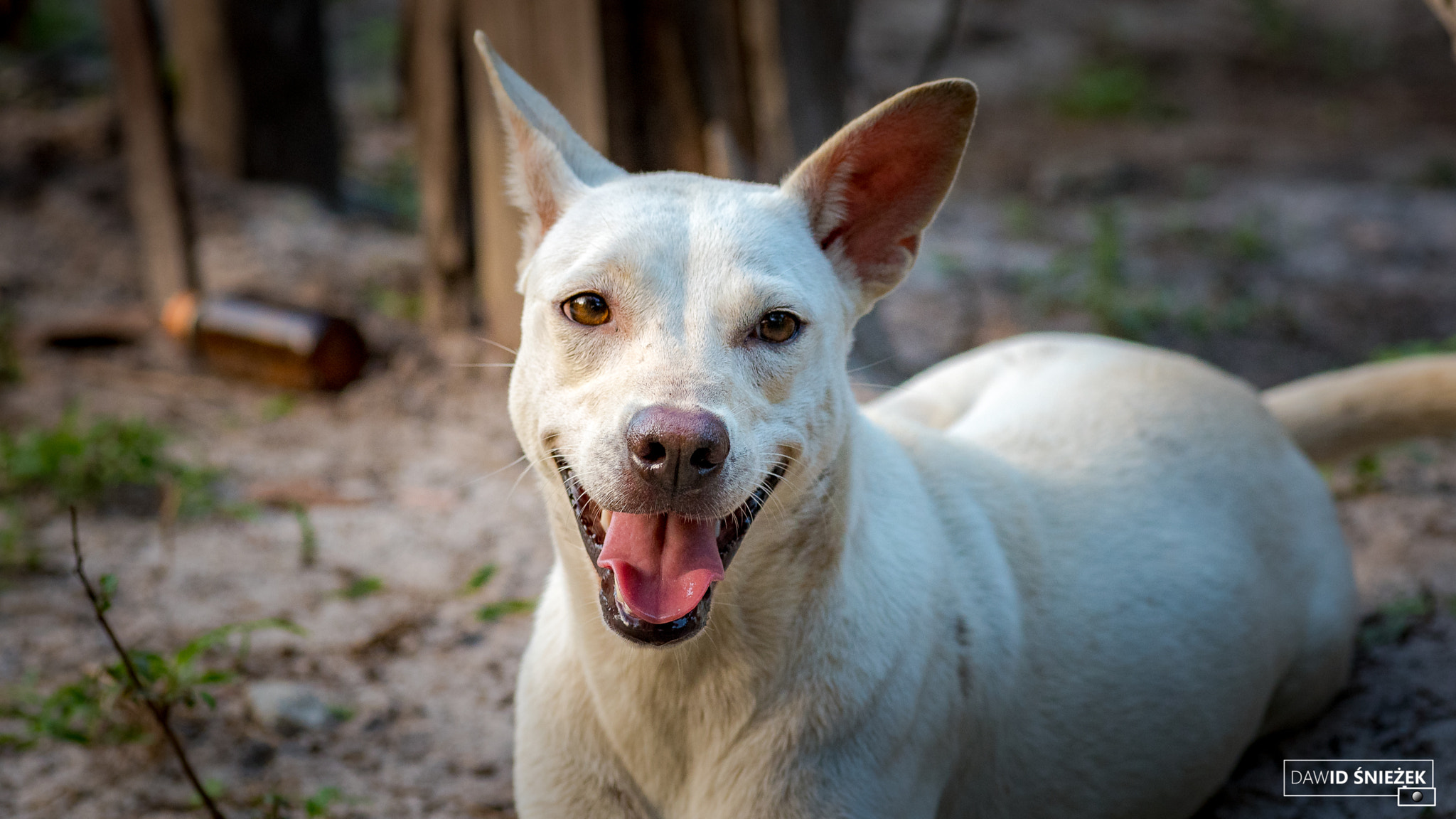 Nikon D750 + Tokina AT-X Pro 100mm F2.8 Macro sample photo. Happy photography