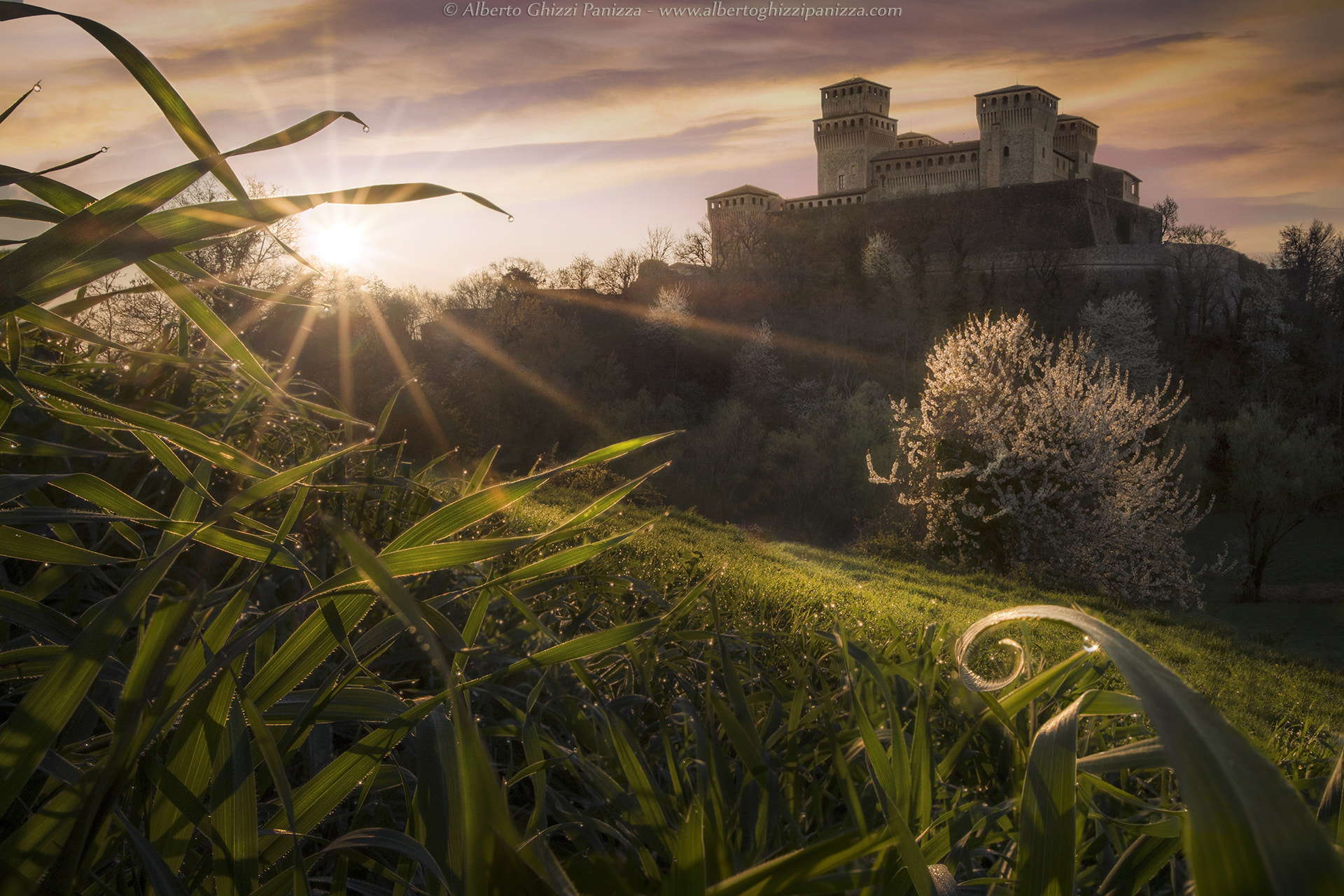 Nikon D500 sample photo. Air of spring at the castle photography