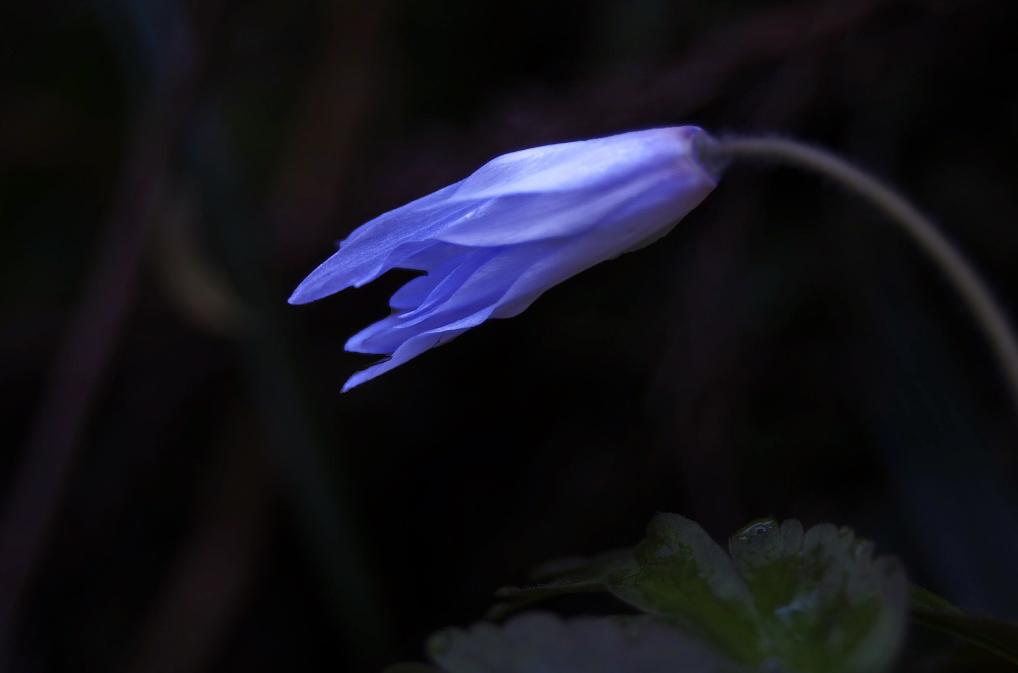 Sigma AF 10-20mm F4-5.6 EX DC sample photo. Untitled photography