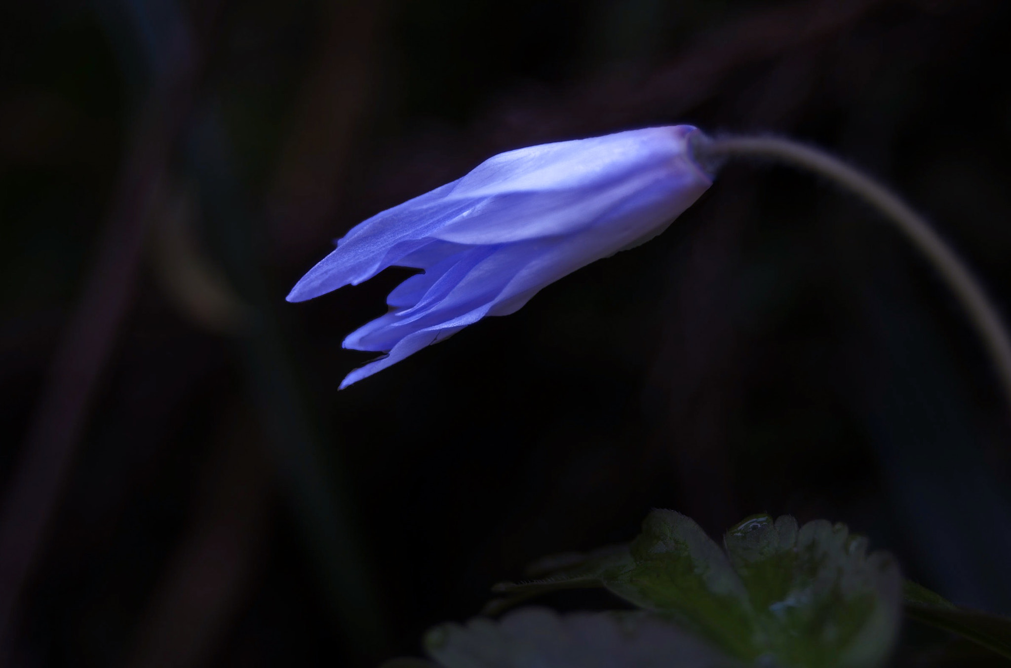 Pentax K-5 II + Sigma AF 10-20mm F4-5.6 EX DC sample photo. Untitled photography