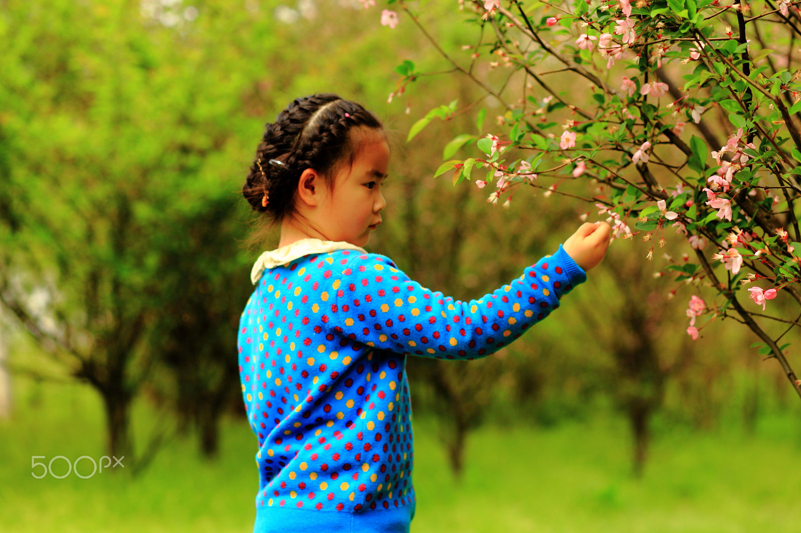 Canon EF 85mm F1.8 USM sample photo. Chinese girl photography