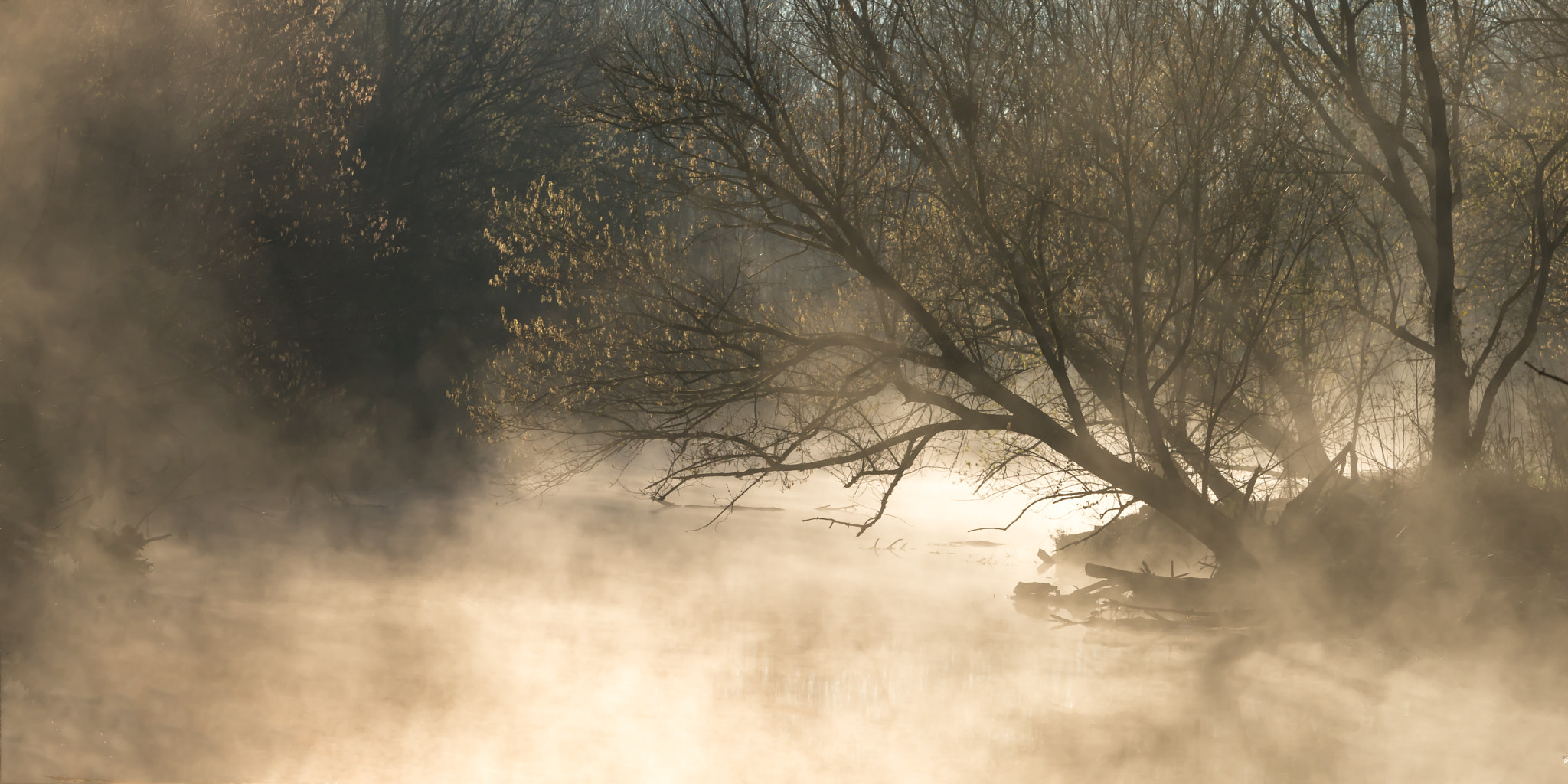 Nikon D610 sample photo. Sun lights up a fog covered lazy river photography