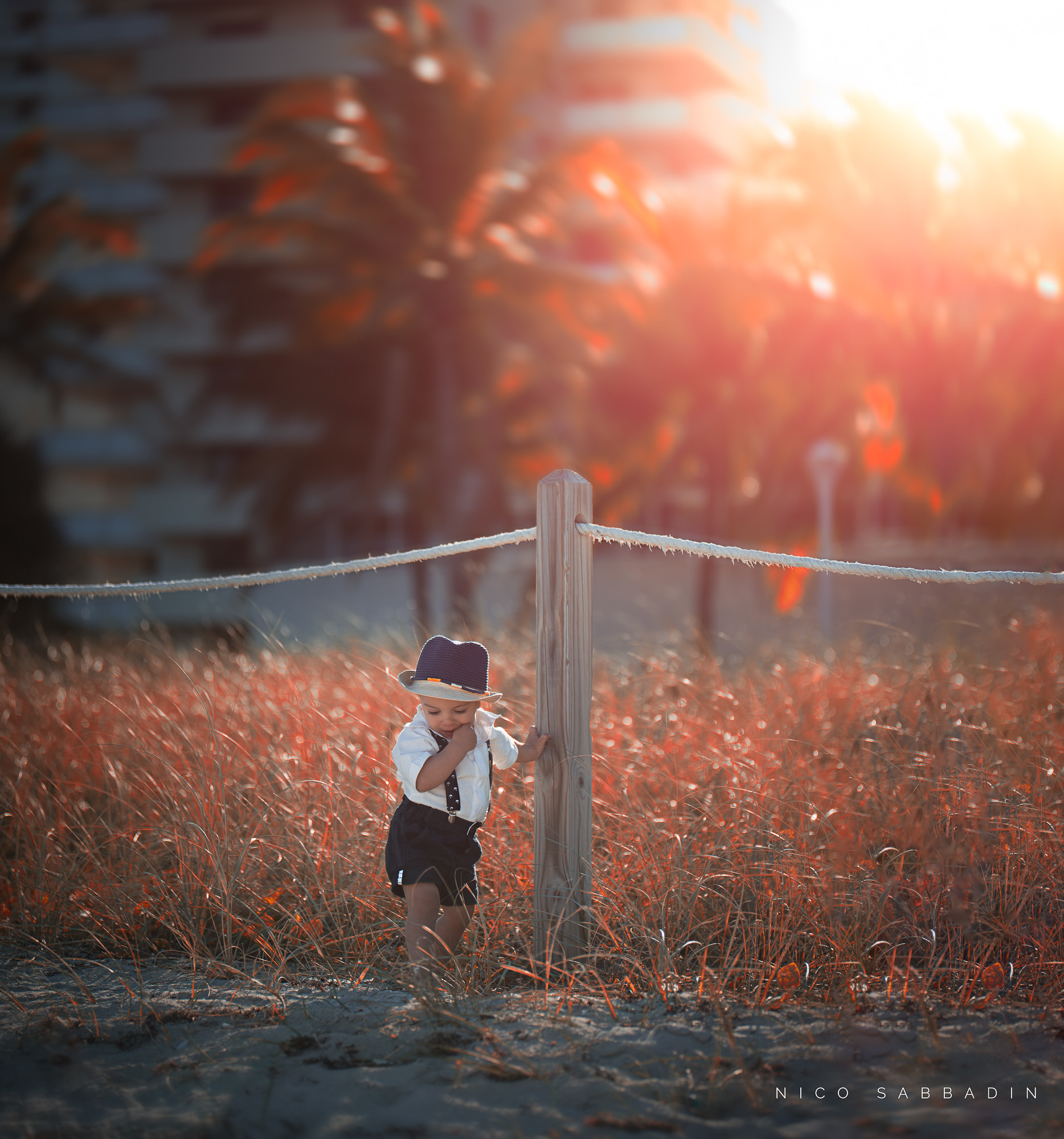 Nikon D810 + Sigma 105mm F2.8 EX DG Macro sample photo. Autumn in argentina photography