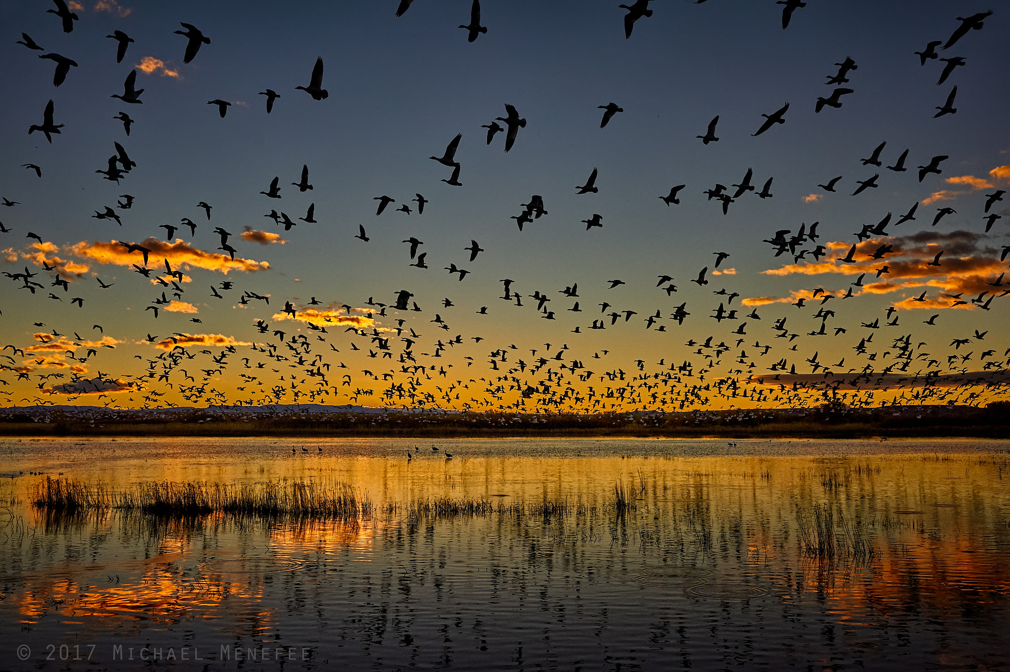 Nikon AF-S Nikkor 24-120mm F4G ED VR sample photo. Sunrise snow geese flyout photography