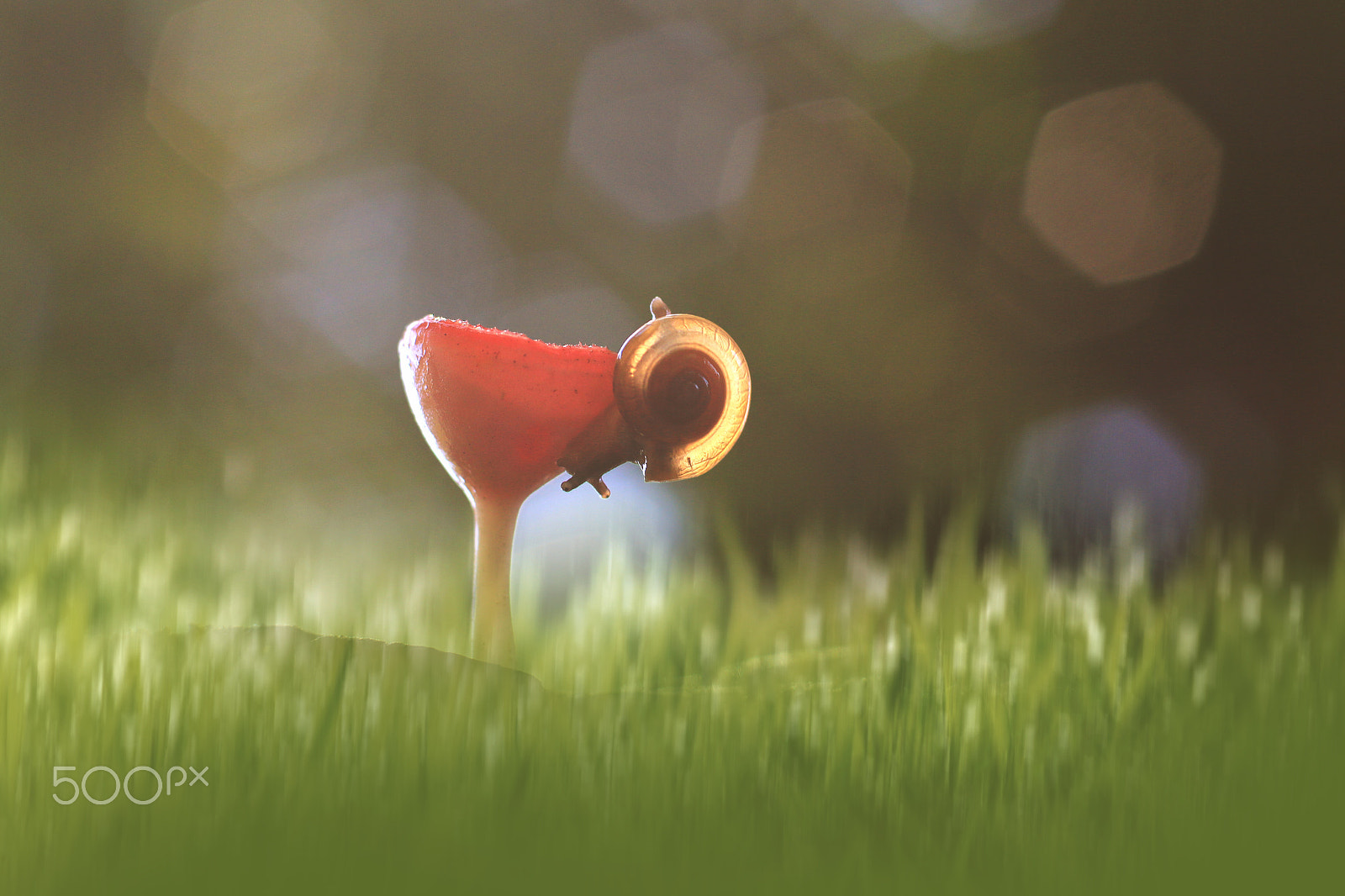 Canon EF 35-80mm f/4-5.6 sample photo. Locked out of heaven photography