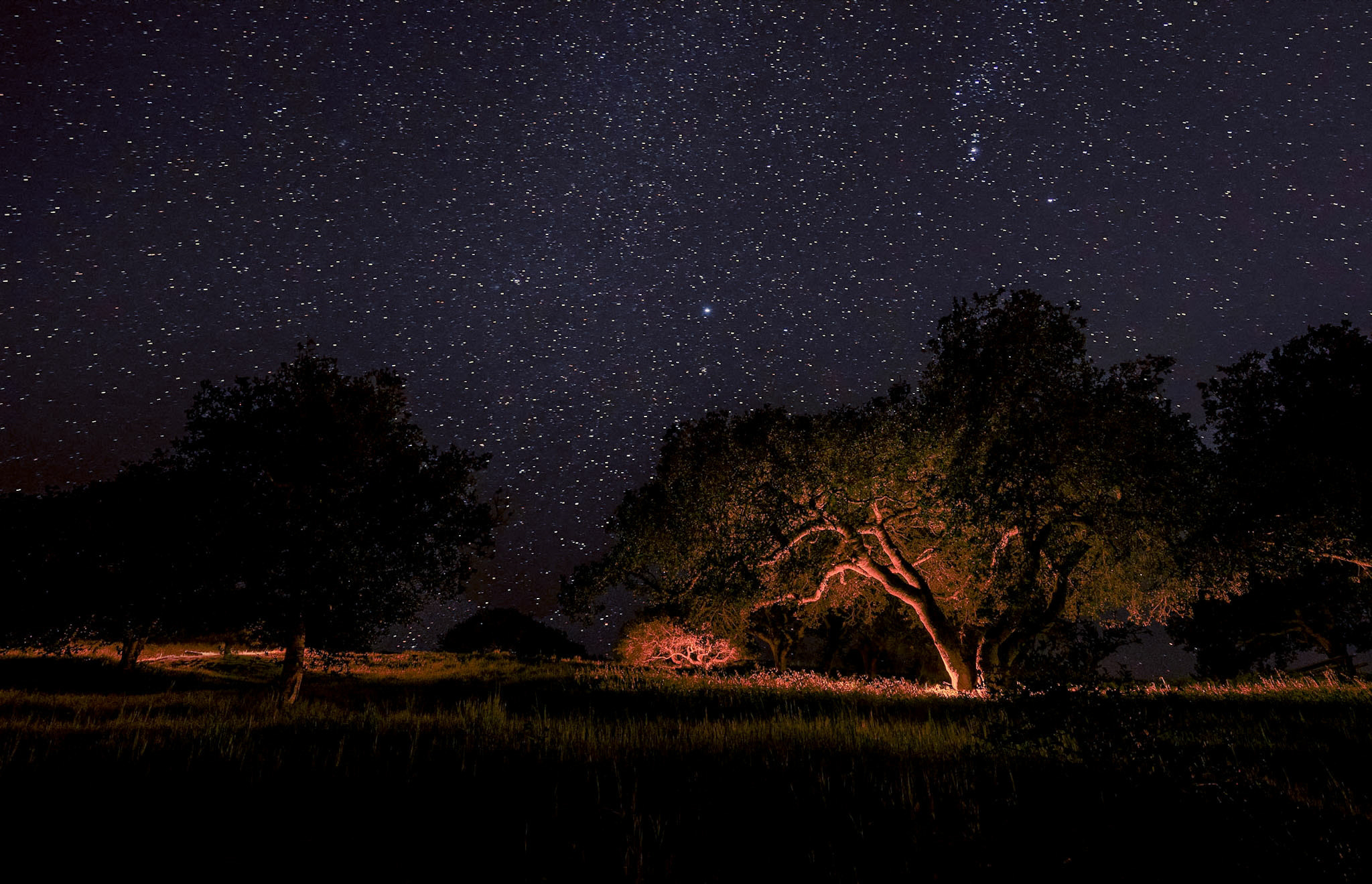 Sony a7R + Sony Vario-Tessar T* FE 16-35mm F4 ZA OSS sample photo. Night time wanderings photography