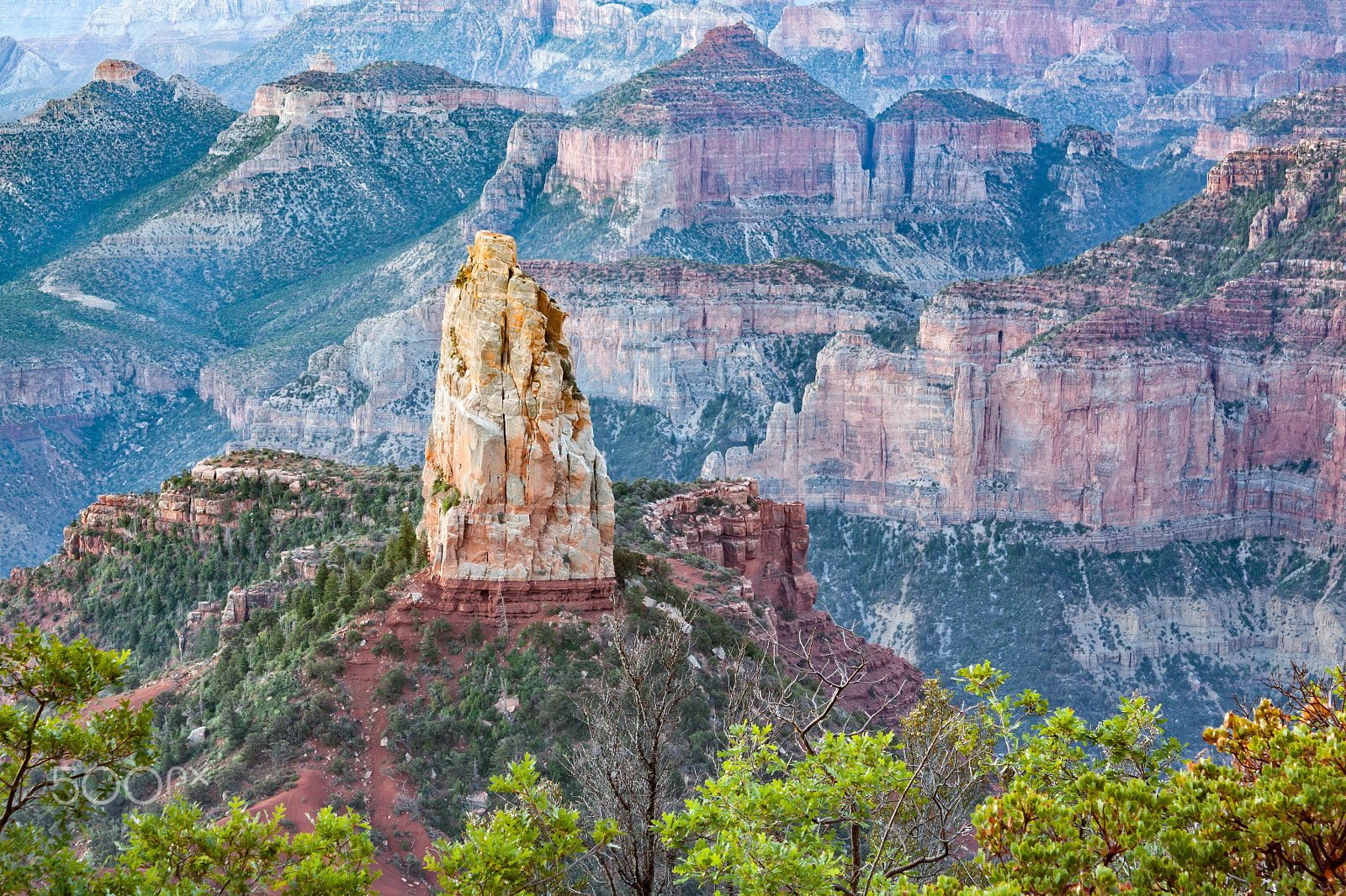 Canon EOS 50D + Canon EF-S 18-55mm F3.5-5.6 IS sample photo. North rim grand canyon photography